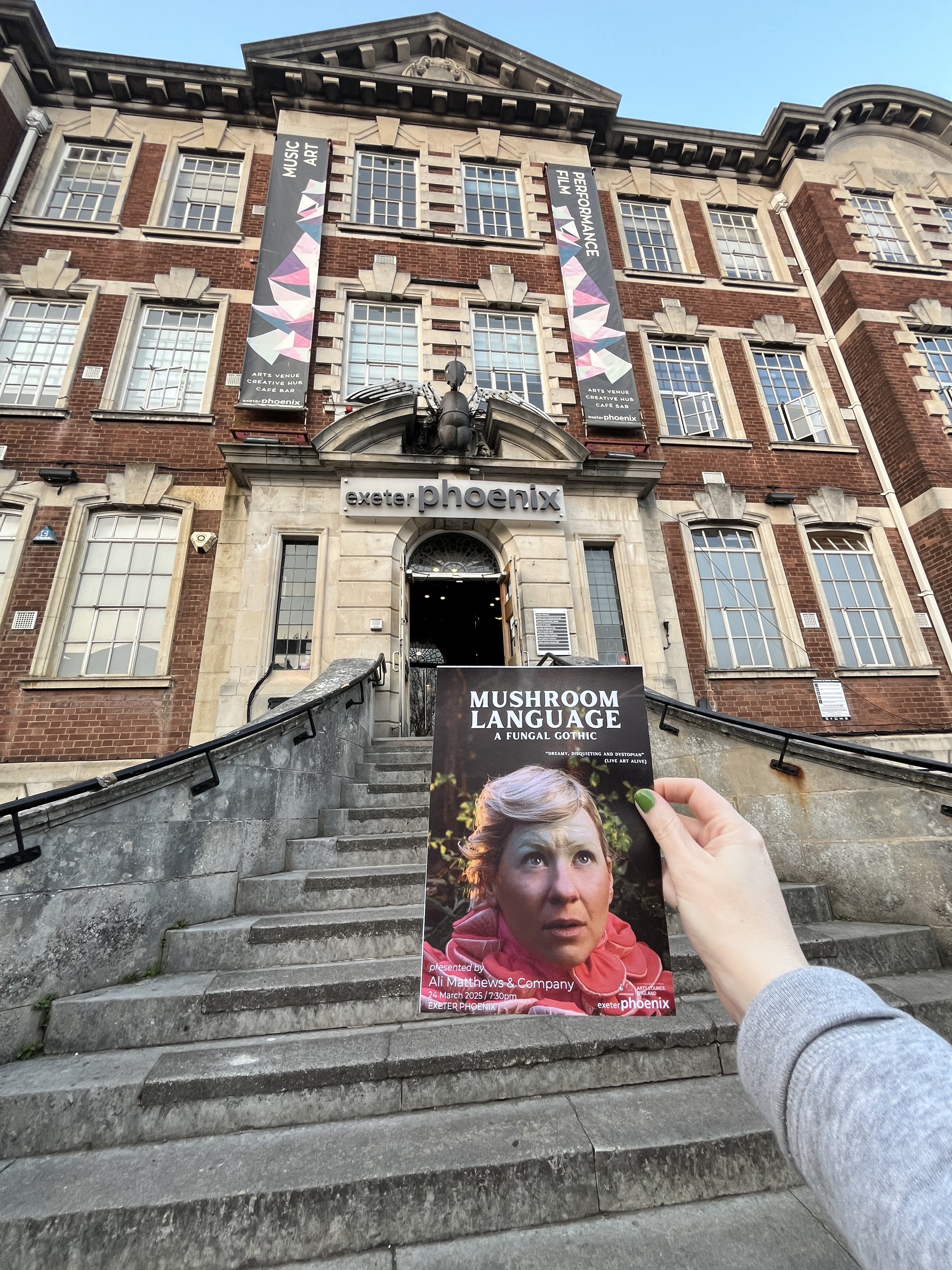 Ali Matthews & Co: Mushroom Language