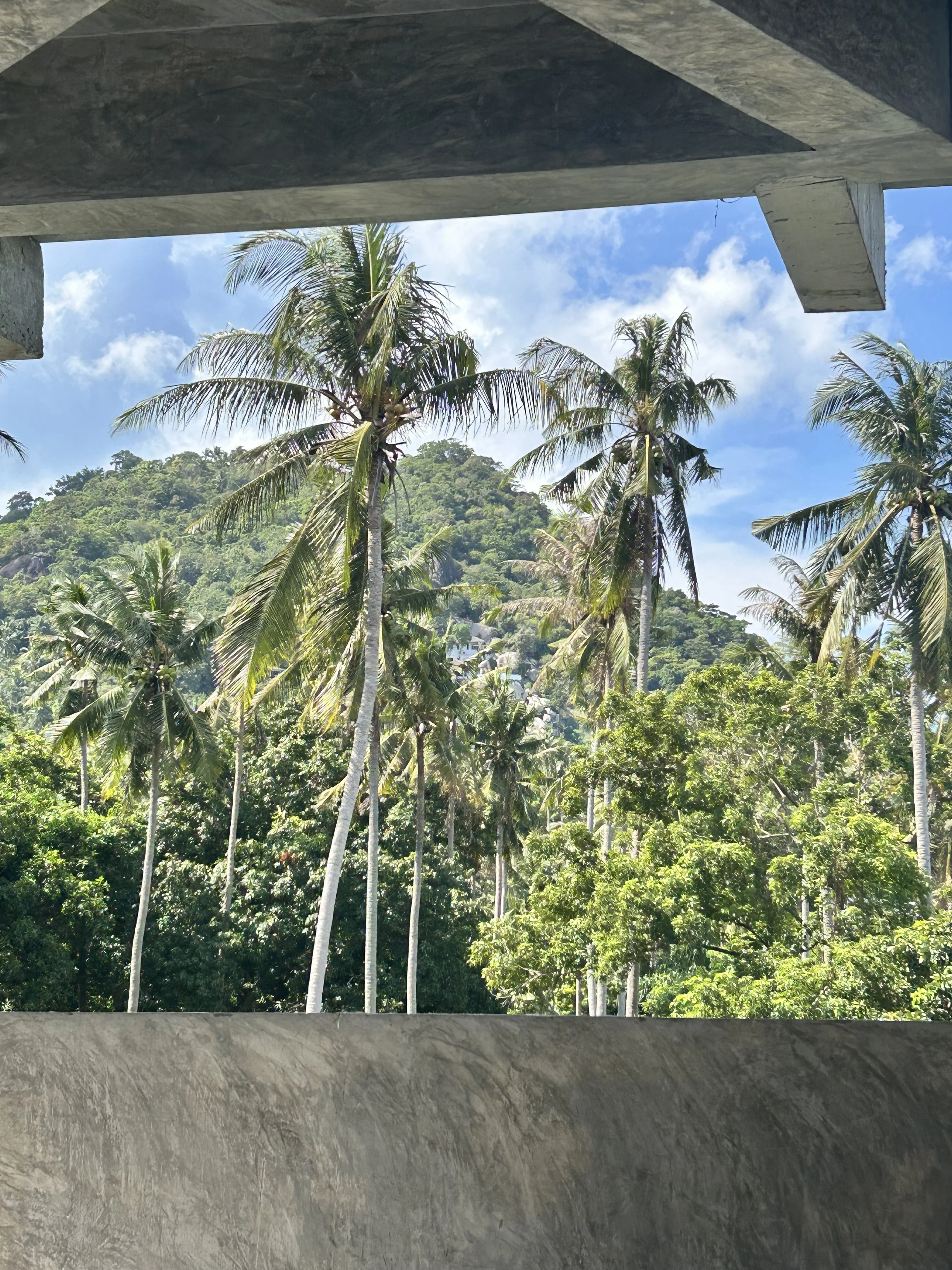 View from under a concrete structure looking out to a lush tropical landscape with palm trees, green hills, and a partly cloudy blue sky.