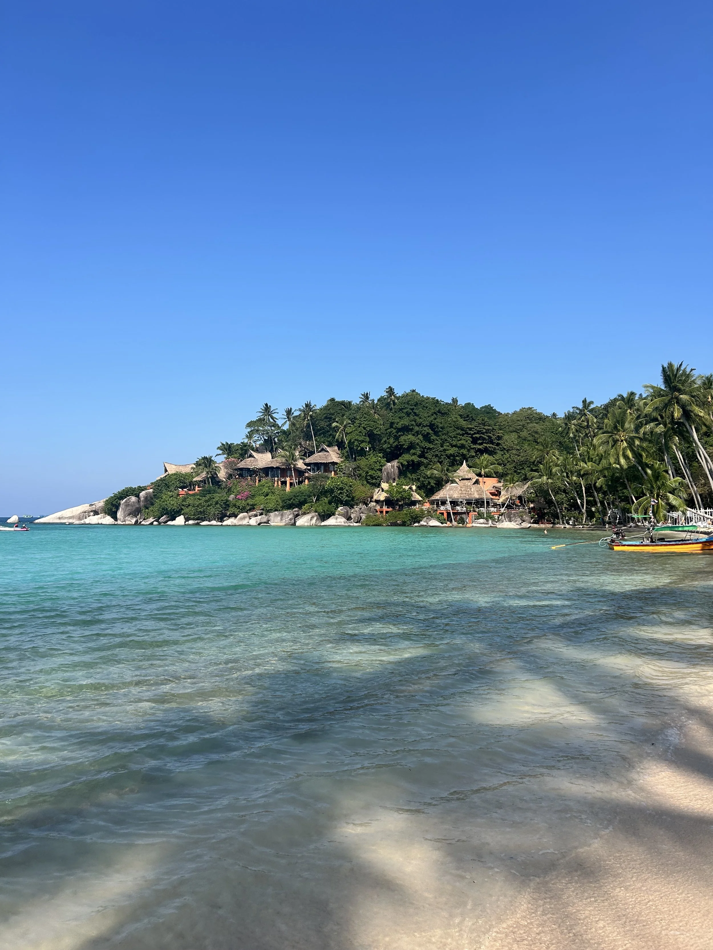 Tropical beach with clear turquoise water, sandy shore, palm trees, and thatched-roof huts on a green hill under a bright blue sky.