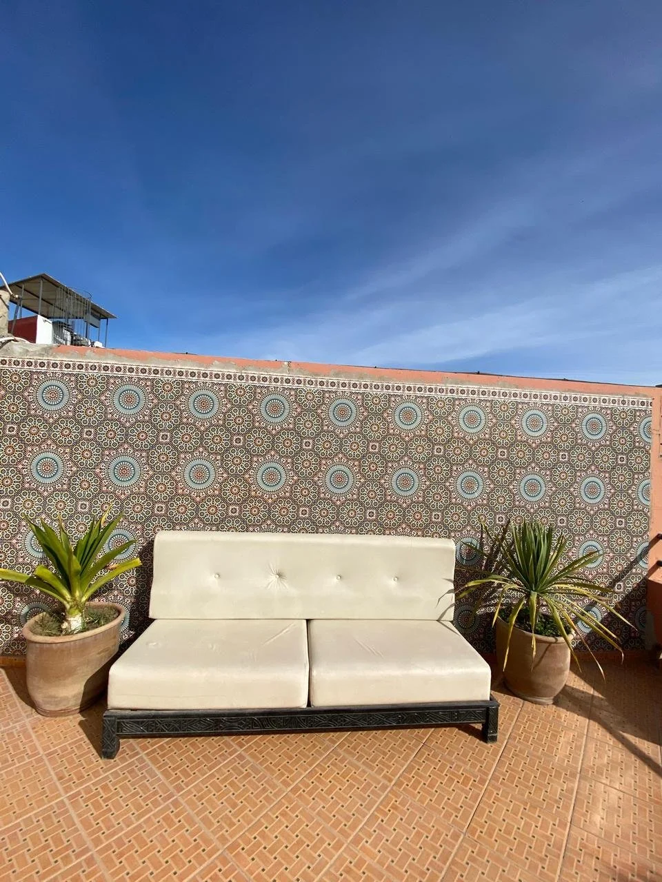 WhatsApp Image 2026-01-07 at 09.14.17.jpeg