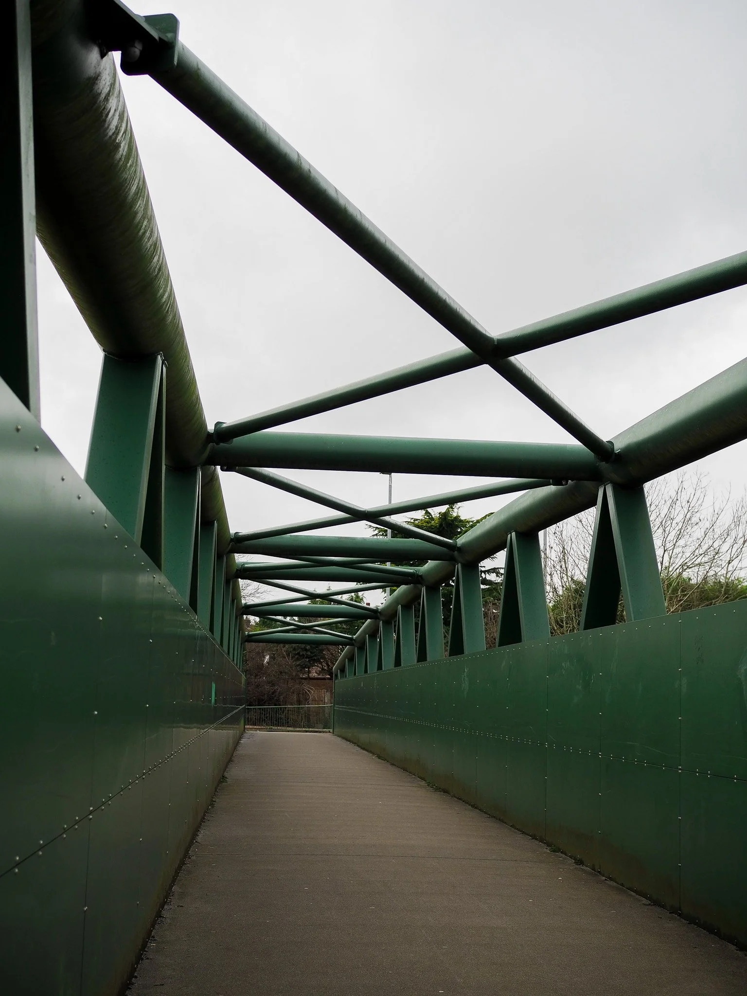 P2080071.jpg