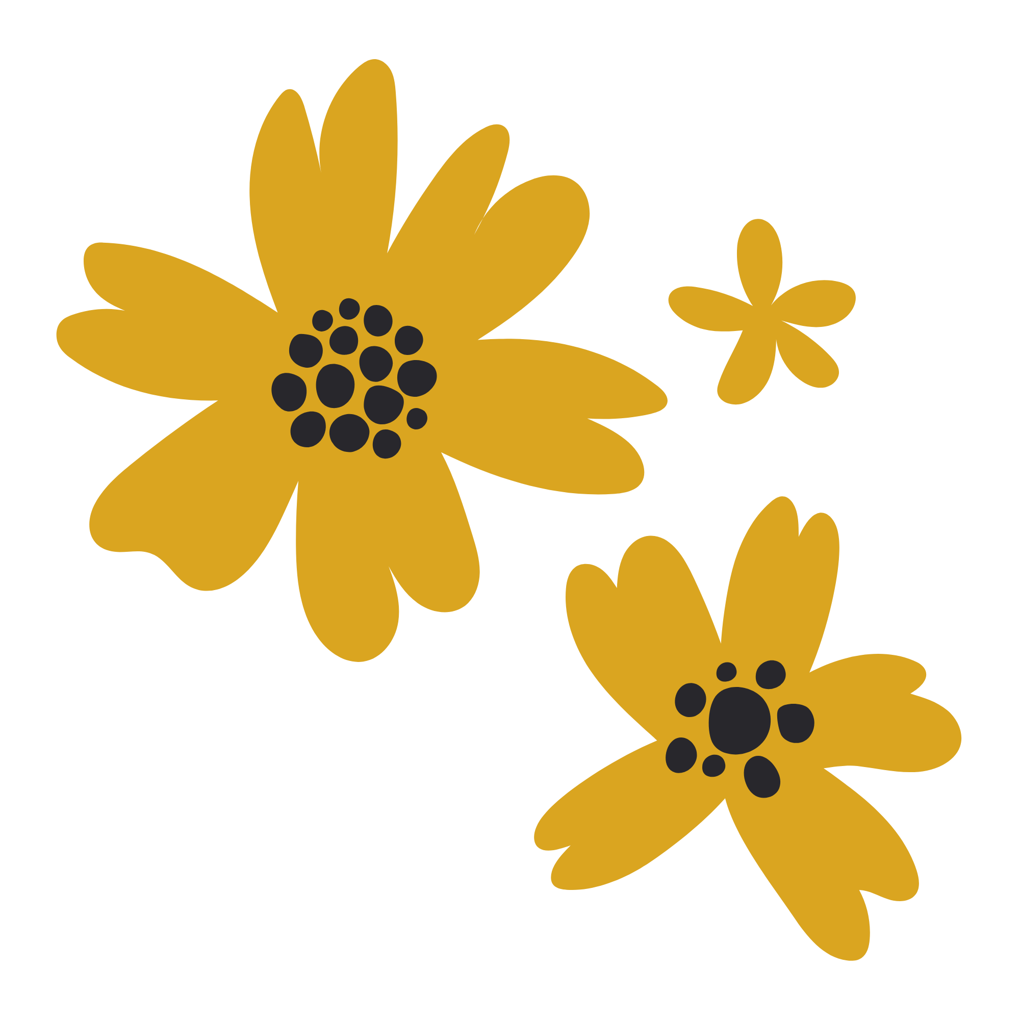 Bold mustard colour flowers