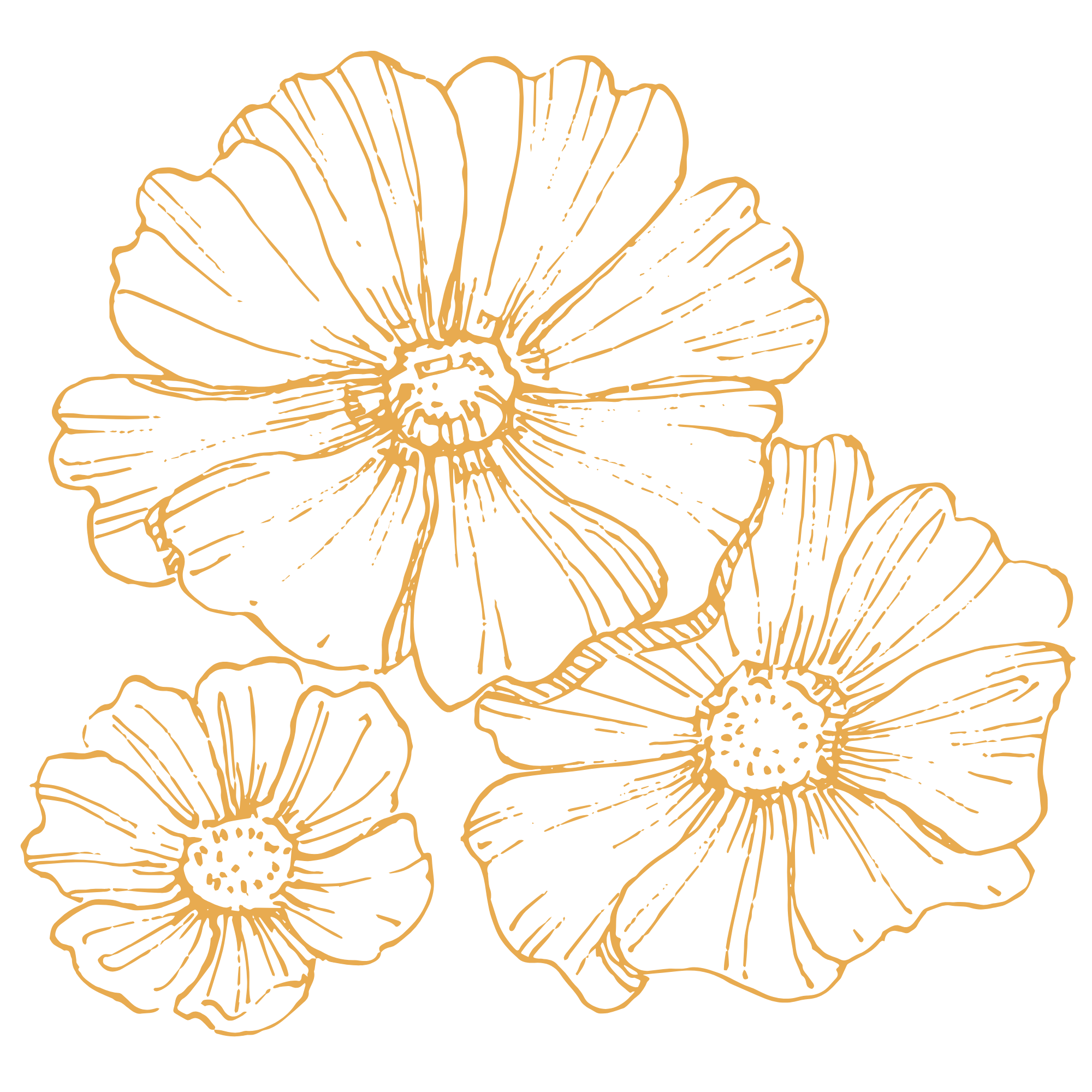 Outline of Three Gold Flowers