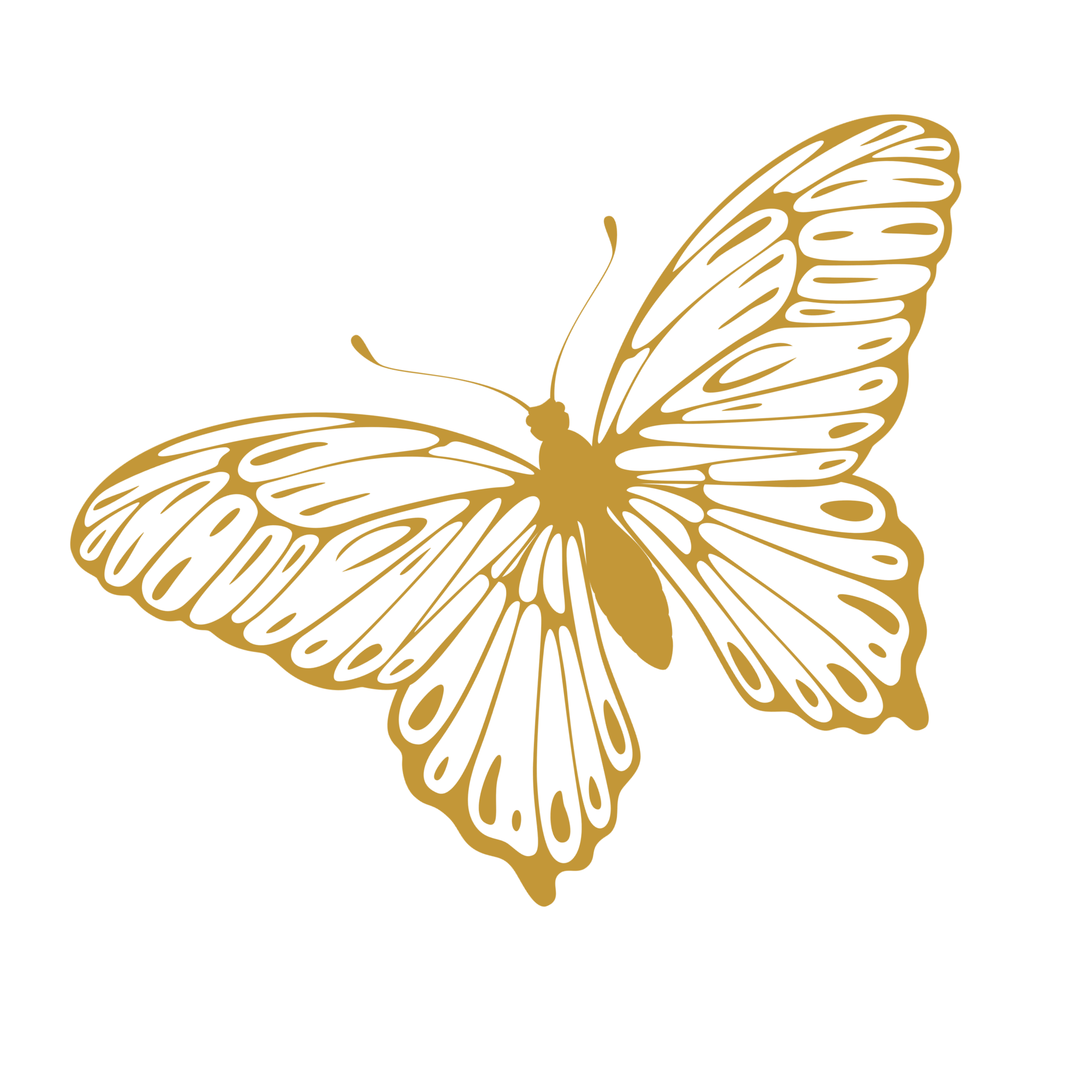 Gold Butterfly