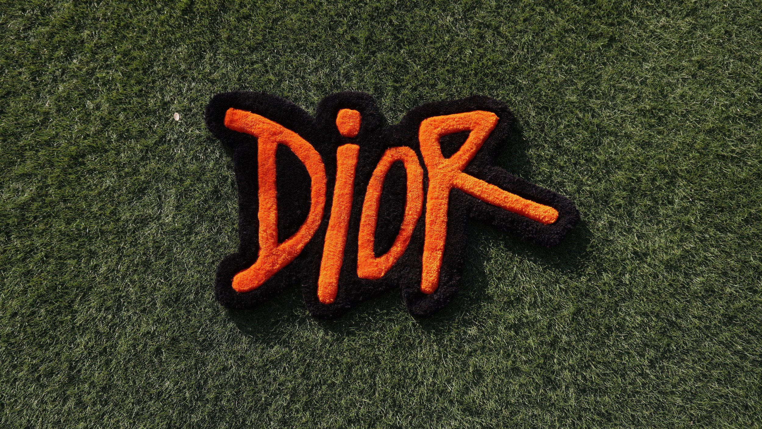 DSC01343.jpeg