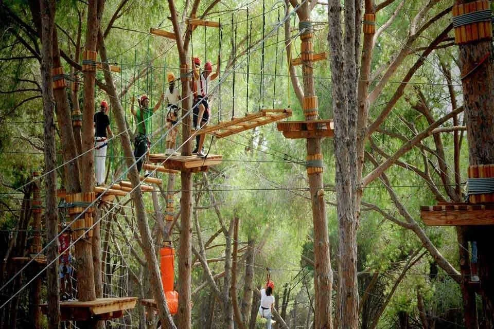 People walking on elevated wooden platforms and bridges in a treetop adventure course in a forest.