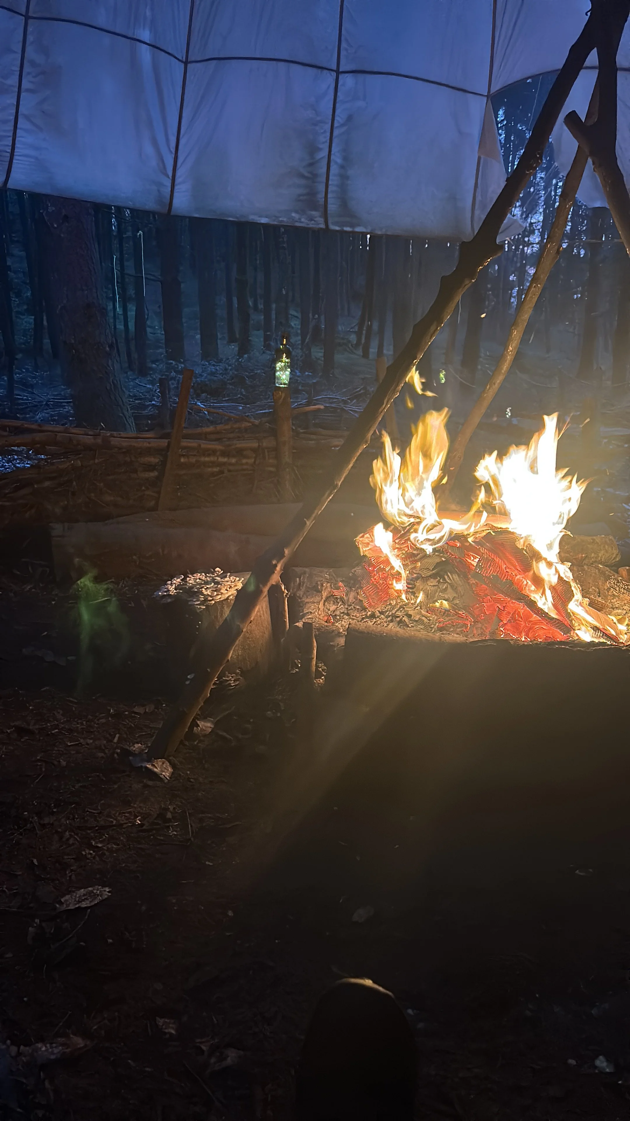 Peak Performance Mindset - 4 Day Programme