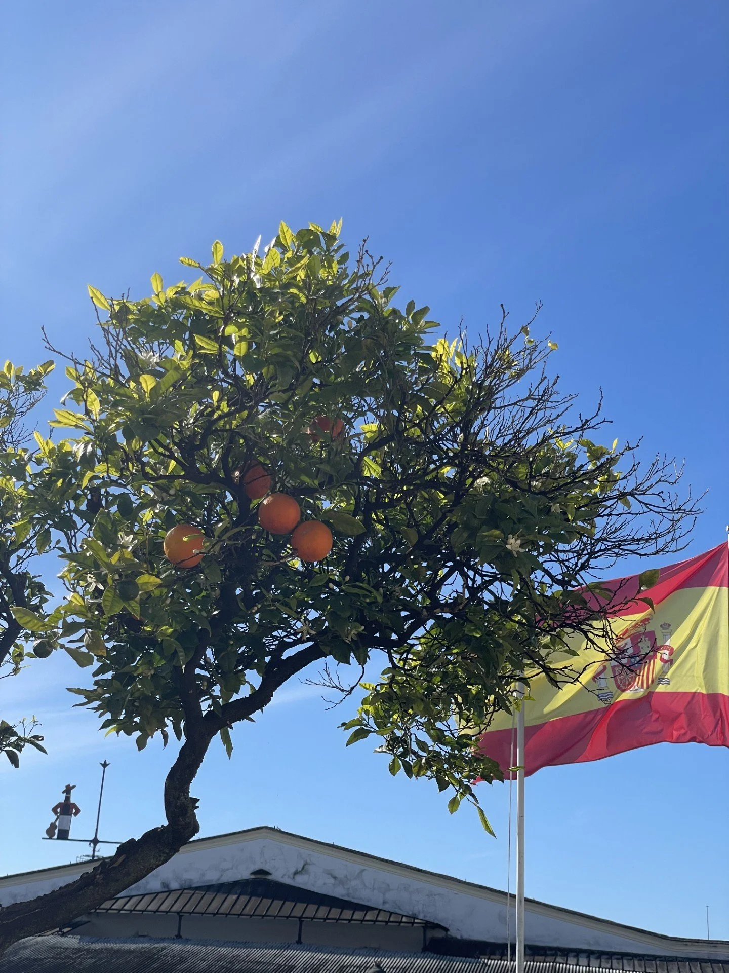 Spanish Visa Options 2026