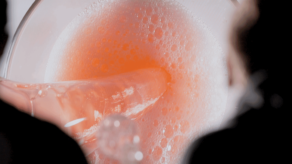 Behind The Scenes | 1664 Campaign Shoot