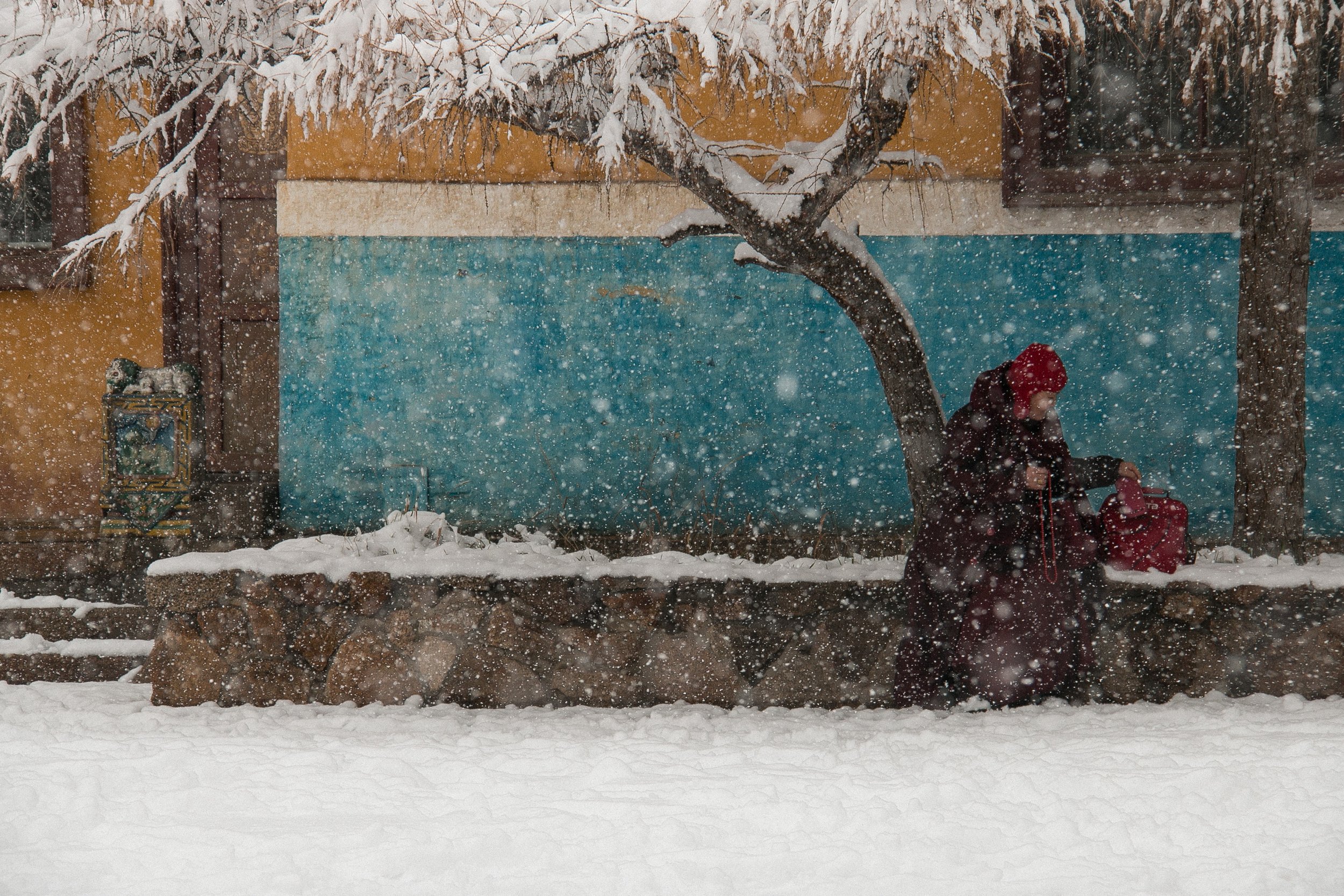 HG10 | woman sitting in snowfall | mongolia | 2017