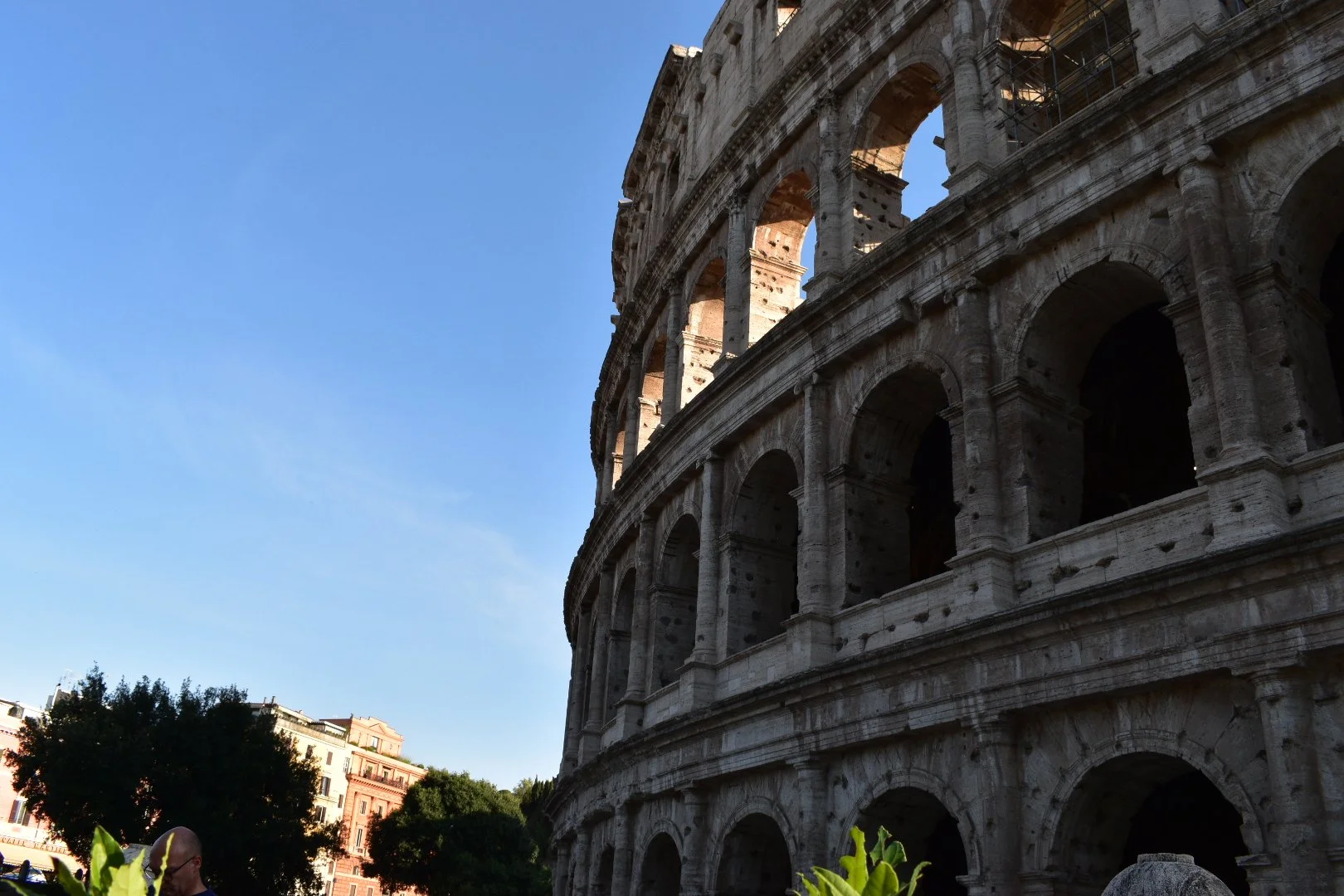A sweeping view of the Colosseum’s curved stone arches catching warm sunlight, rising against a clear blue Roman sky, with trees and city buildings tucked quietly at its base.
