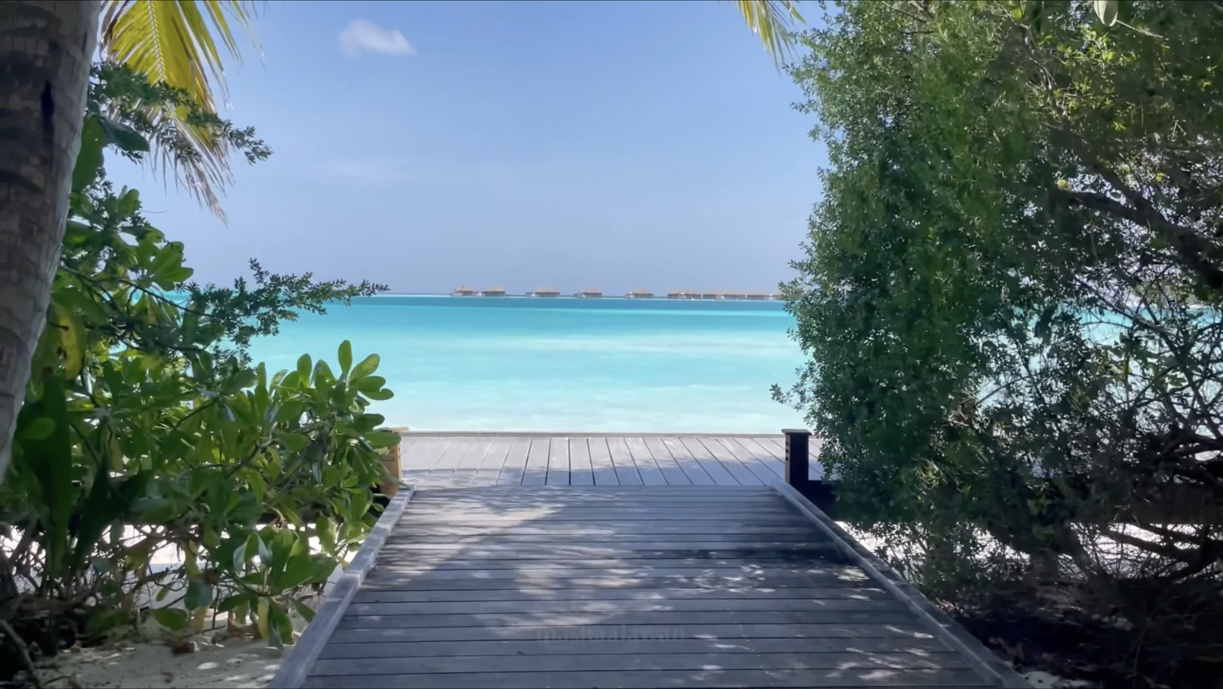 In the Maldives: Wooden boardwalk framed by tropical greenery leads to a stunning turquoise lagoon with overwater bungalows in the distance under a clear sky.