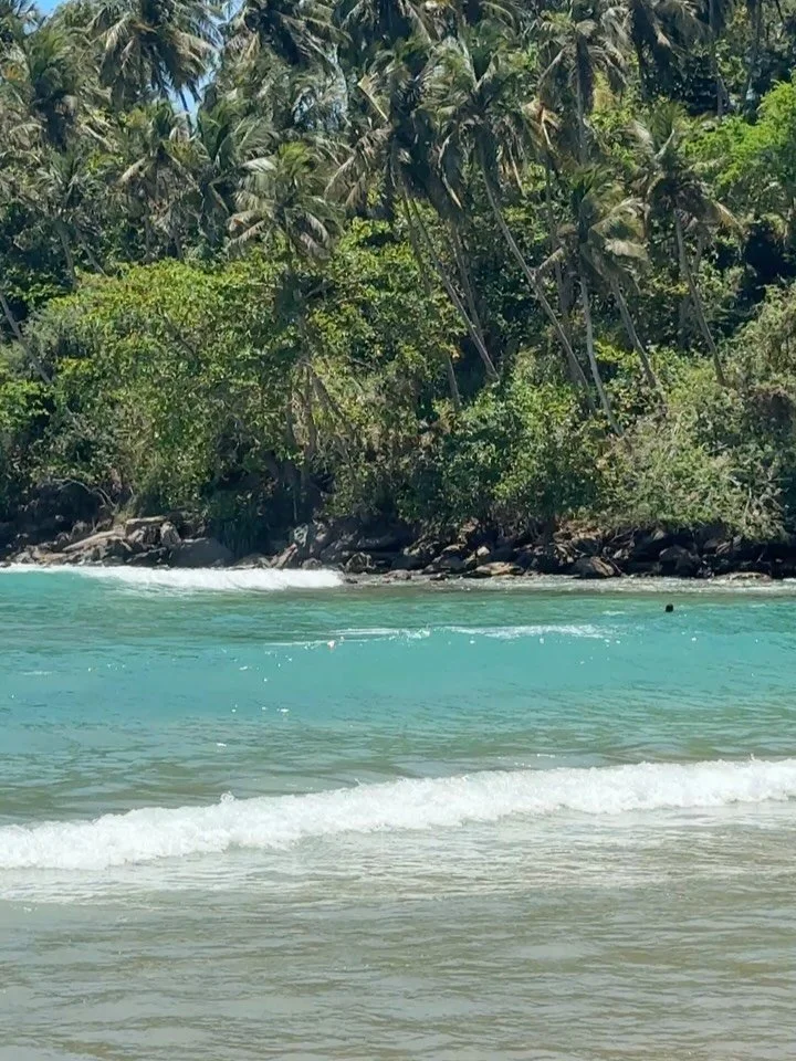 🌴🌺🥥🐚🌊🌅✨🤍