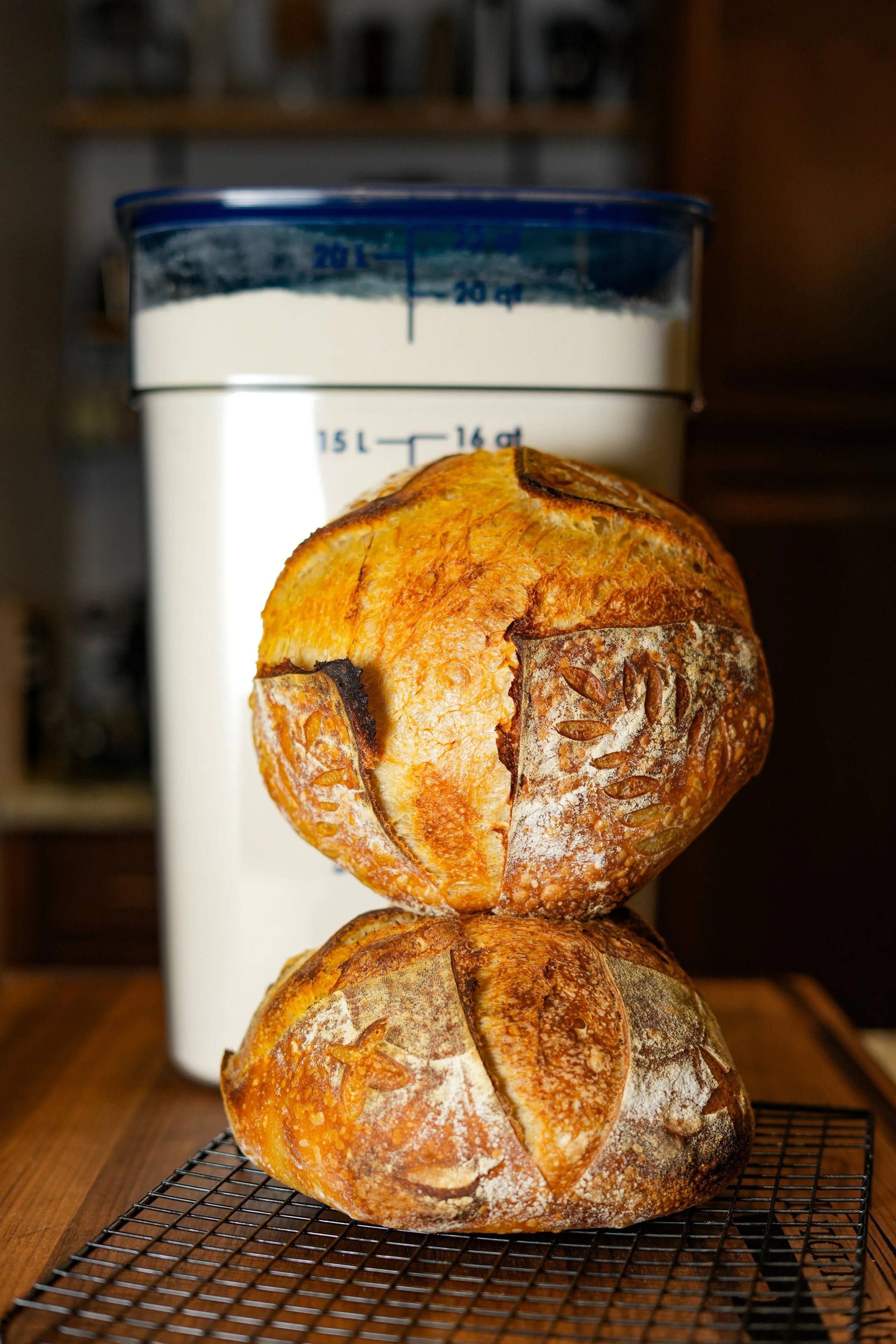 Two loaves of freshly baked round bread with scored tops, placed on a cooling rack in front of a large container of milk.