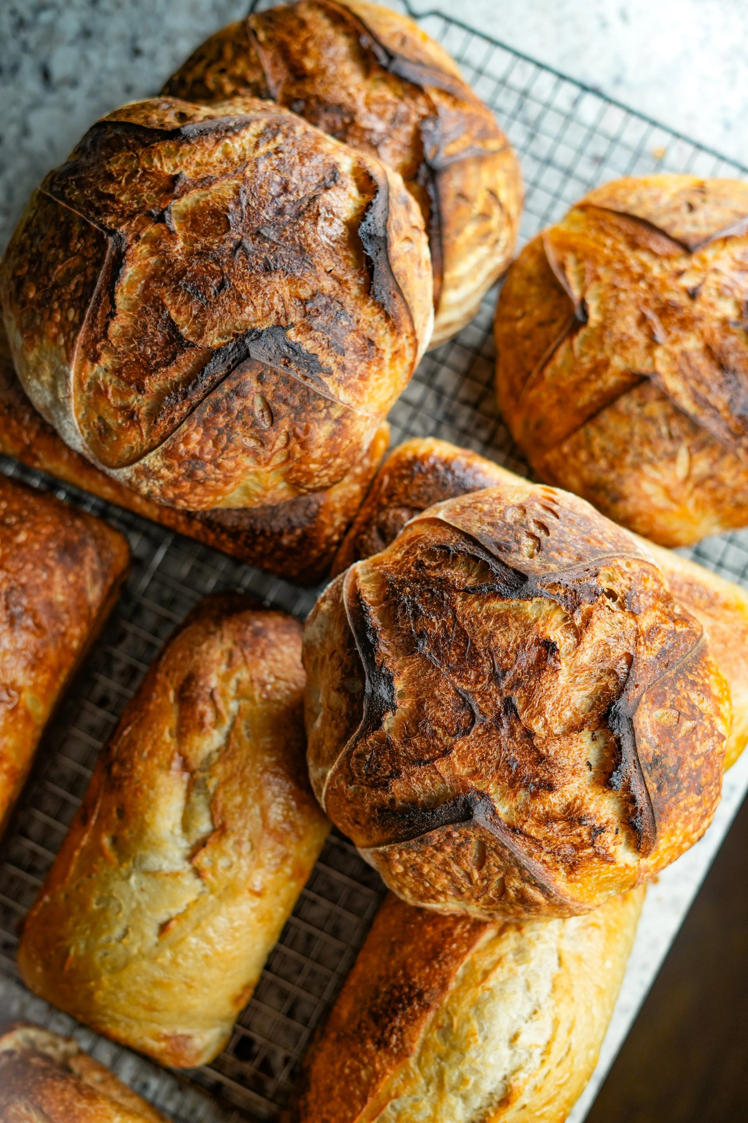 Assorted freshly baked rustic bread rolls on a wire rack.