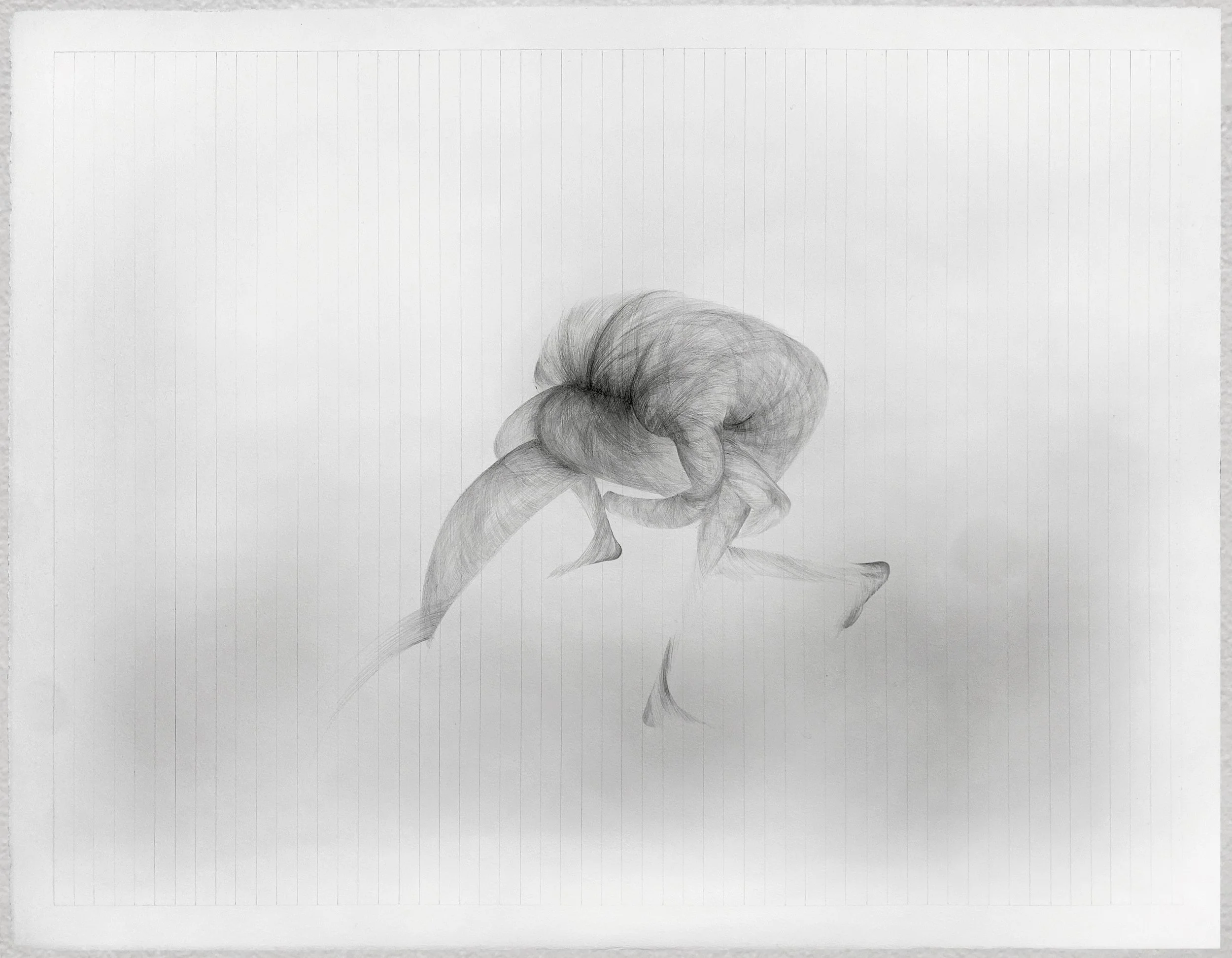 Lagnadstung, 2024
graphite on paper
22 in x 30 in