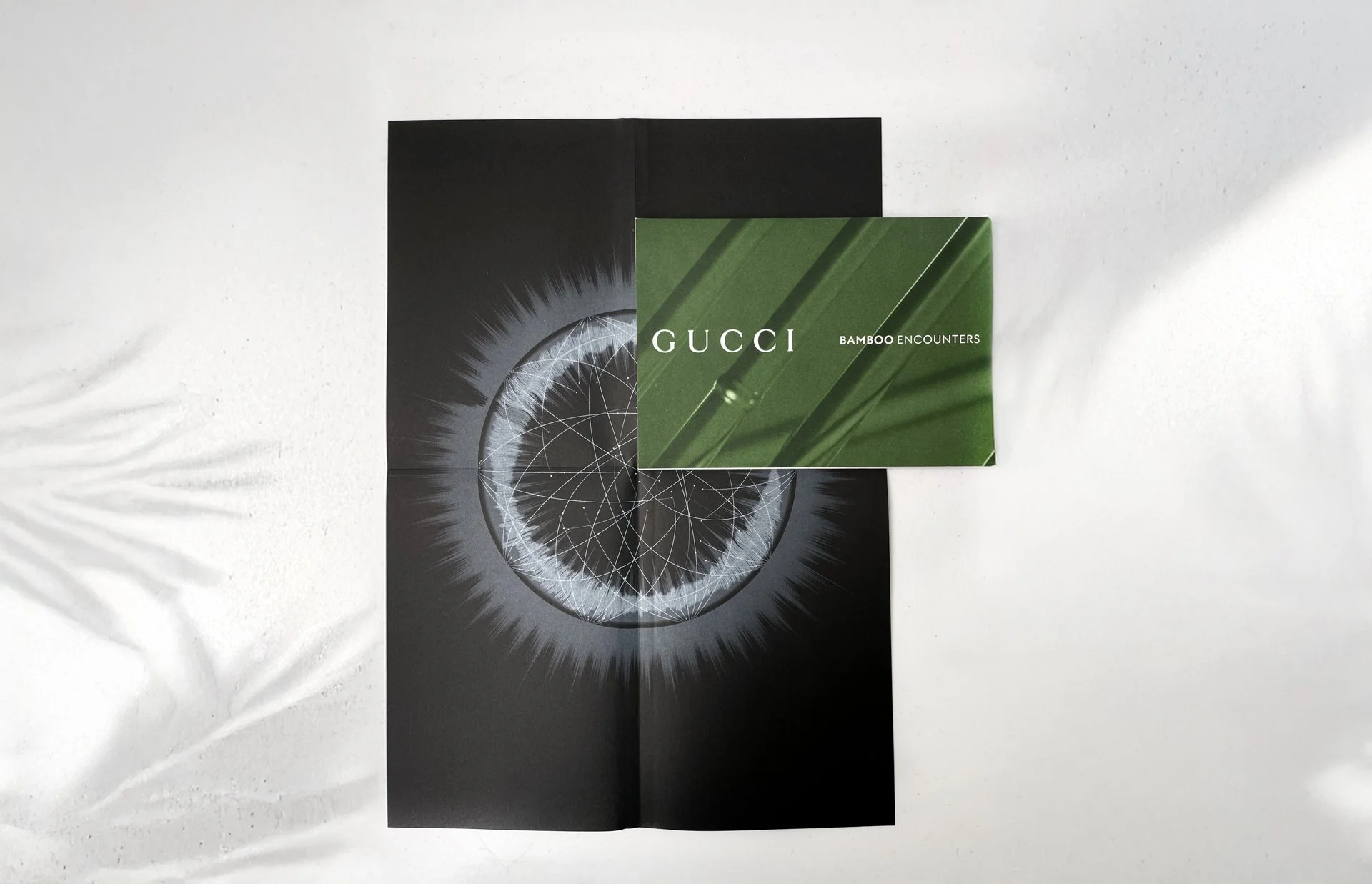 Gucci – Nature in C Major