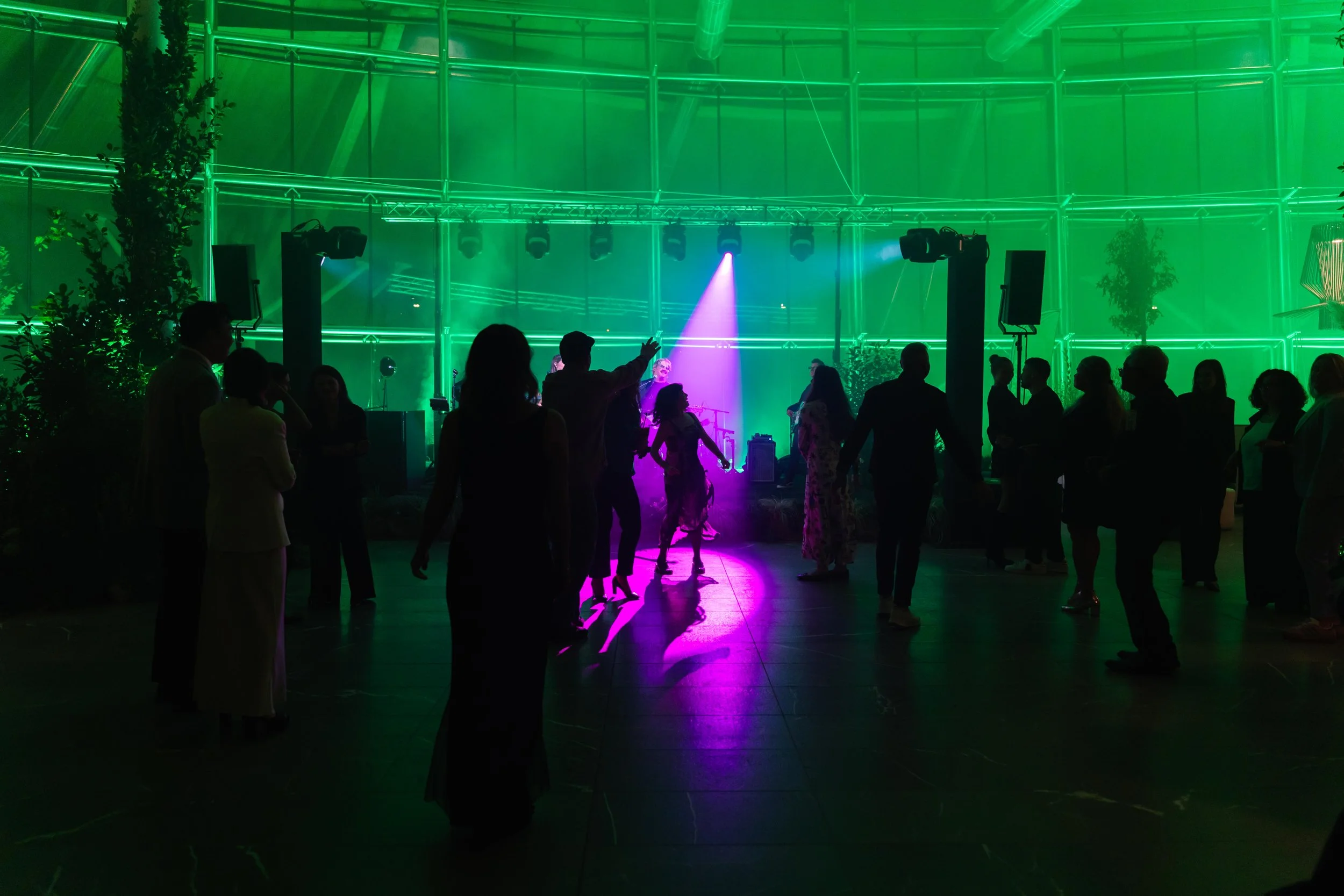 Persone che ballano in un locale con luci verdi e un'illuminazione viola, silhouette di persone in movimento, ambiente festivo.