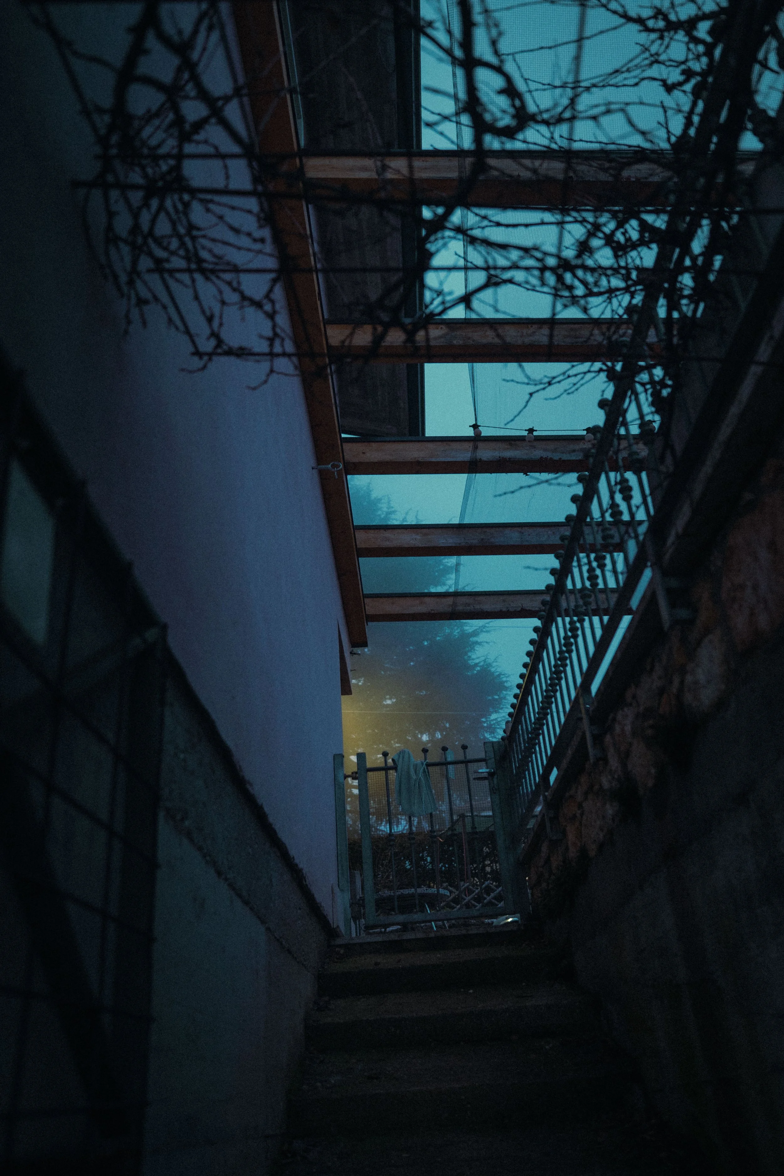 DSCF0476.jpg