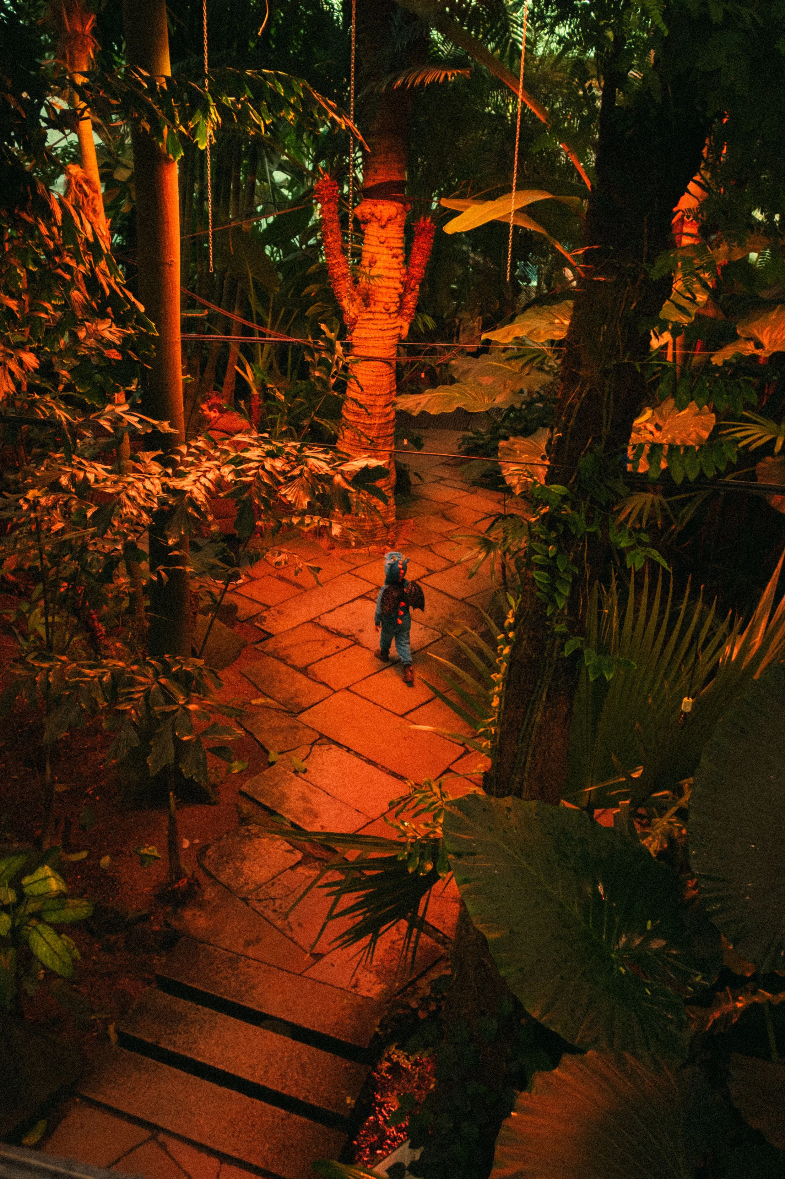 Un bambino vestito da dinosauro cammina in un ambiente tropicale illuminato da luci rosse, circondato da piante verdi e grandi foglie.