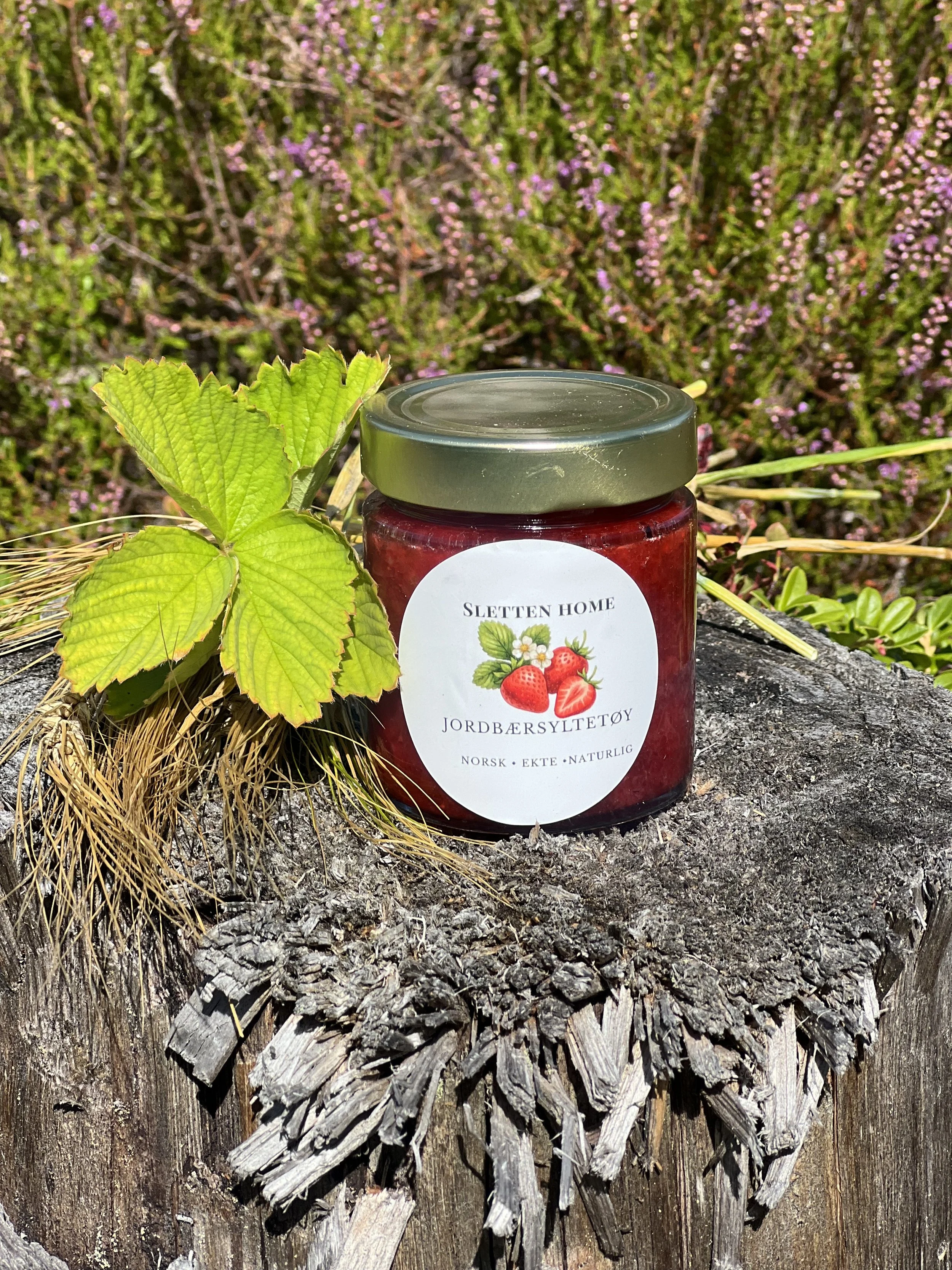 IMG_4644.jpeg