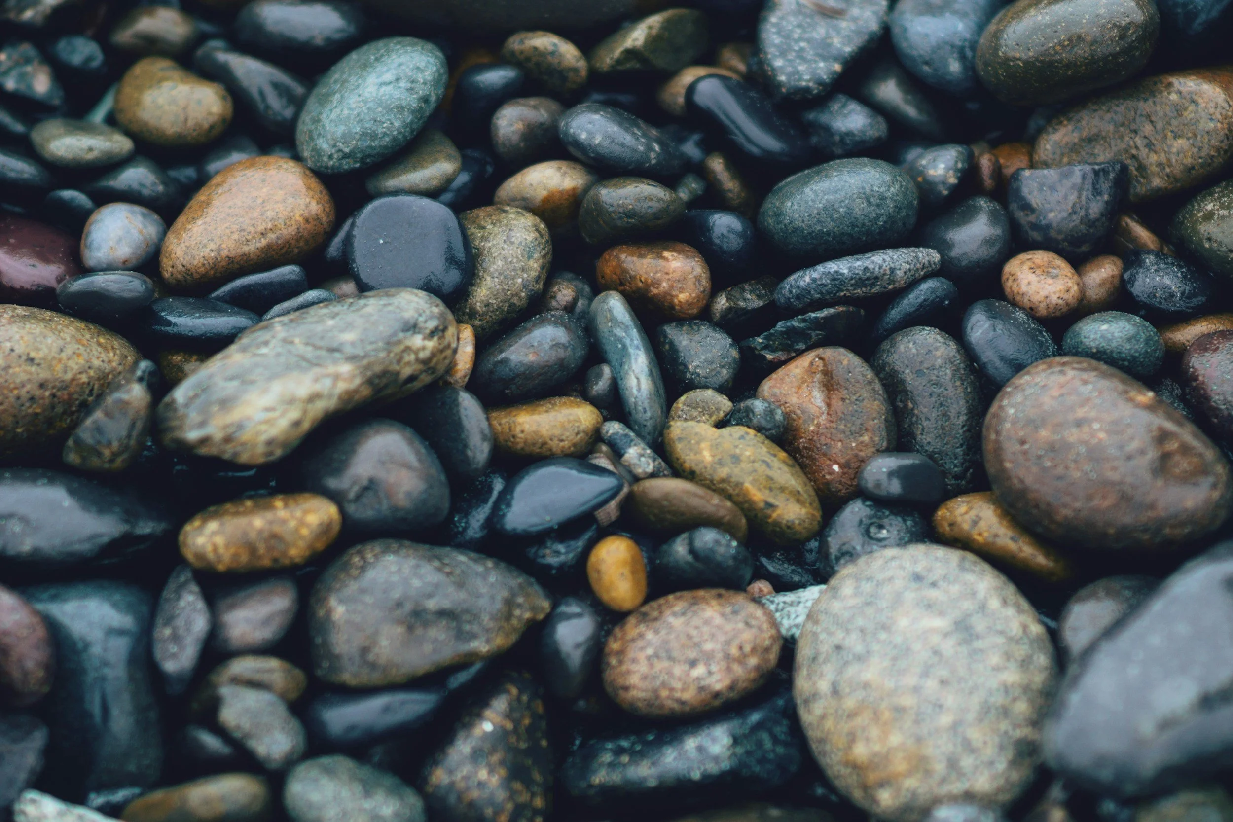 Close-up of wet, smooth, multicolored pebbles on the beach.