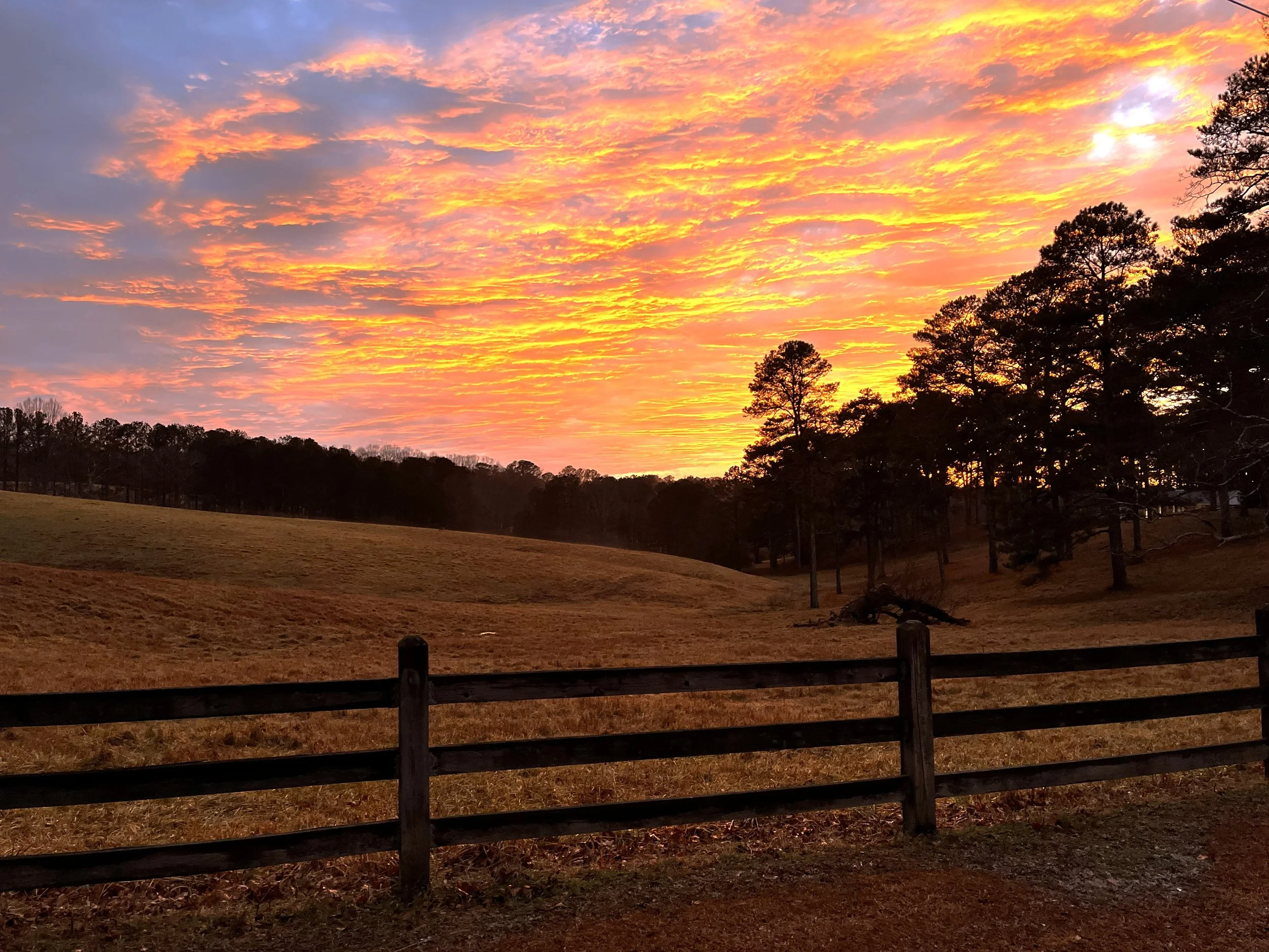 A sunset over a grassy field with a wooden fence in the foreground and trees in the distance.