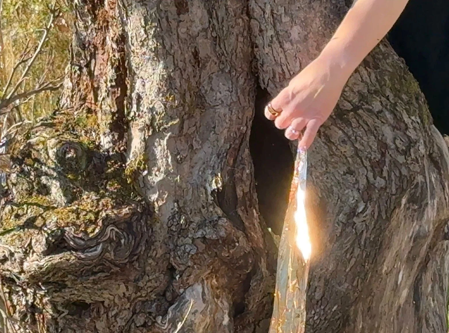 An image of Greenspacing.