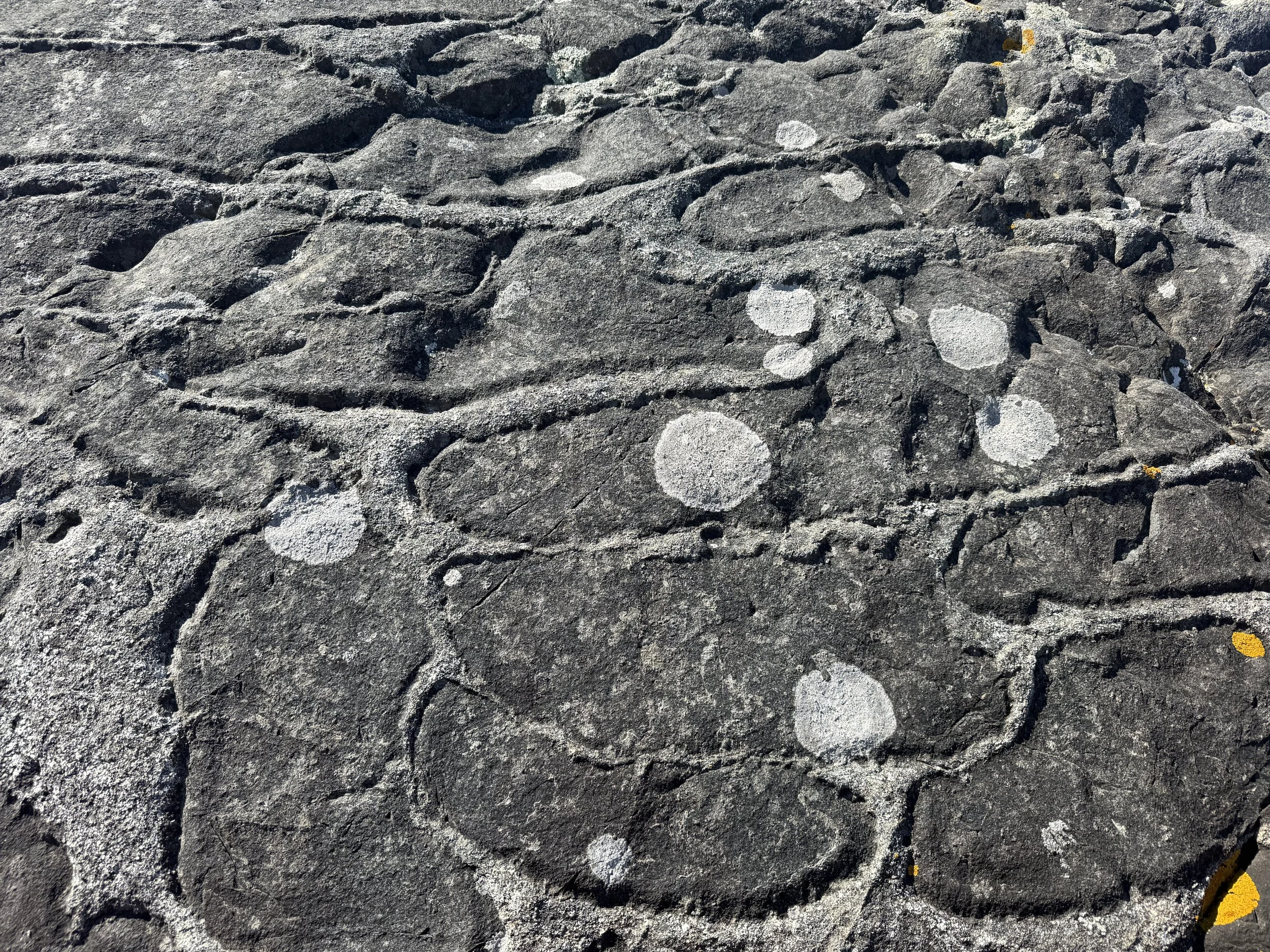 An image of The Float House