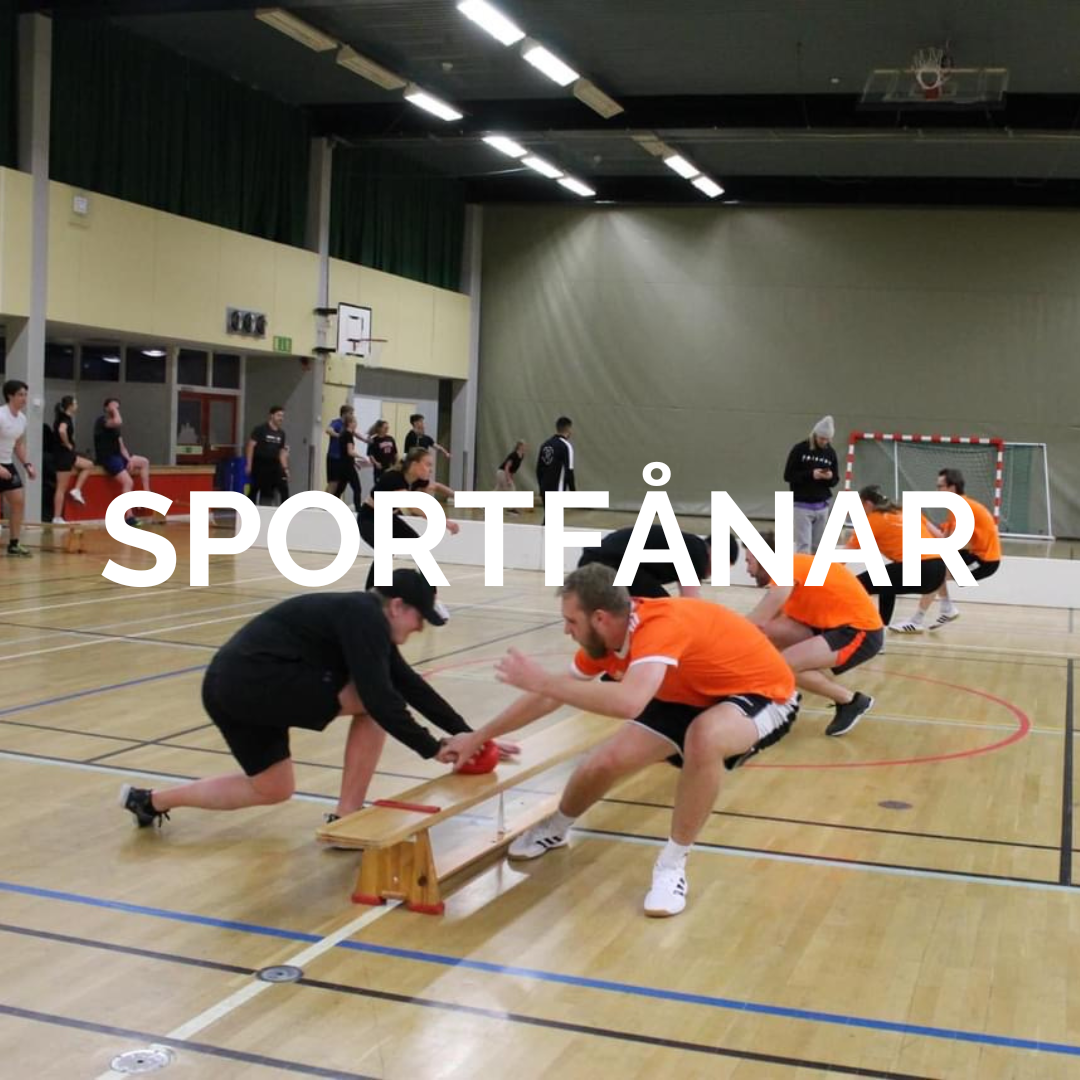 Sportfånar.png