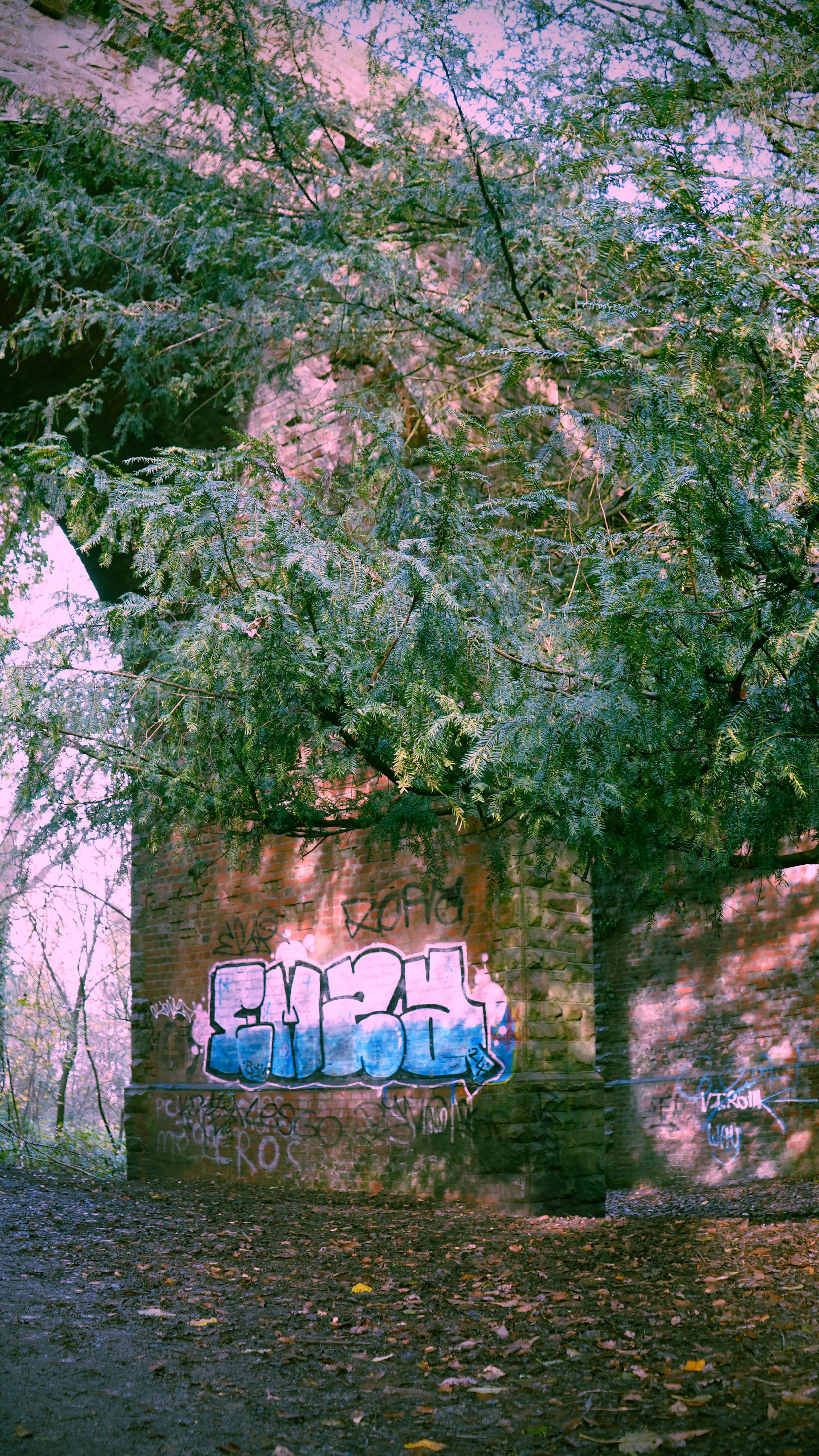 A brick wall covered in graffiti with a large blue and white graffiti piece, surrounded by trees with green leaves and fallen autumn leaves on the ground.