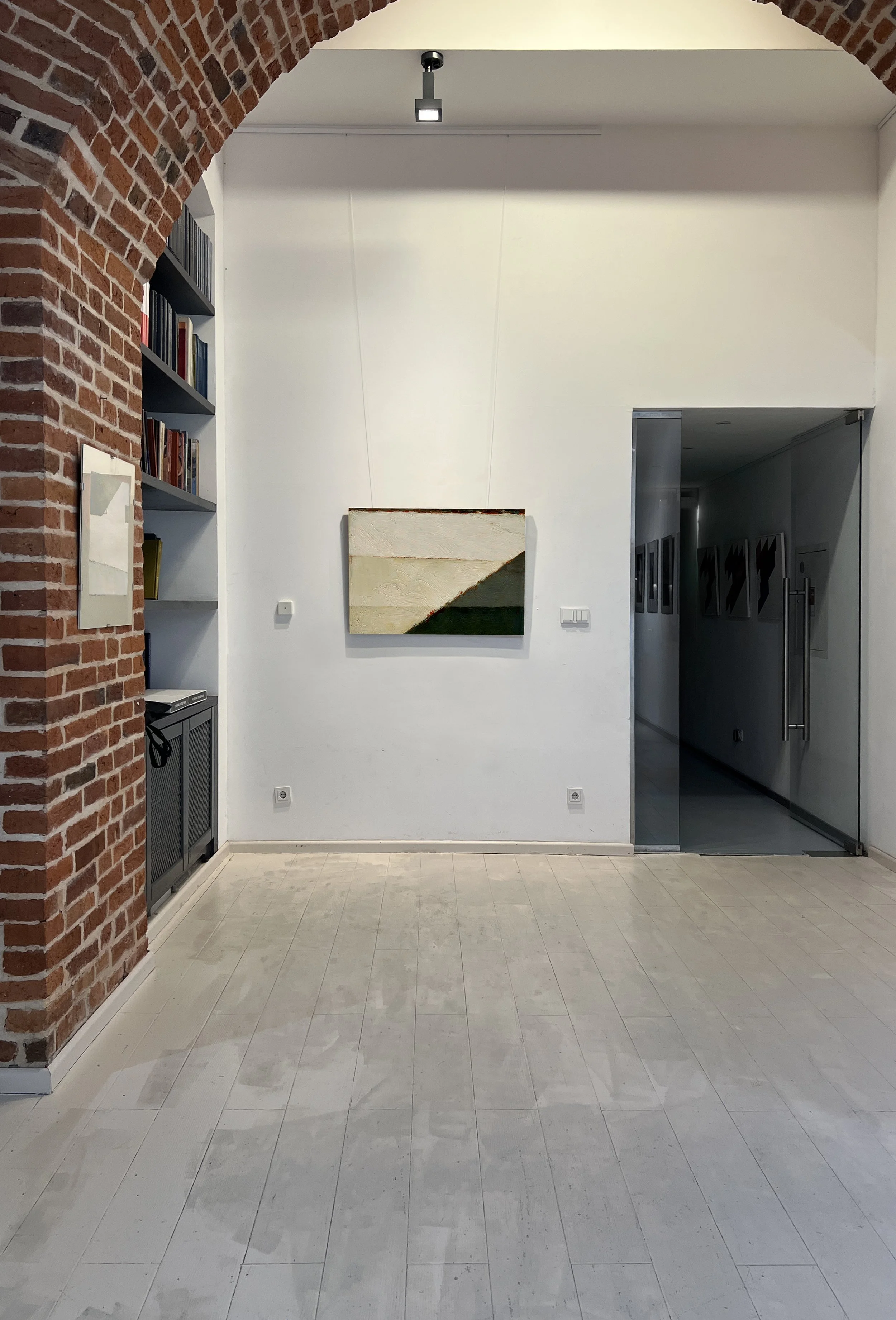 zibeyda seyidova artist