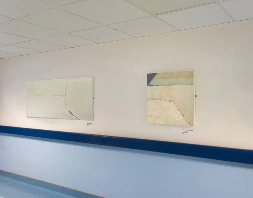 zibeyda seyidova artist