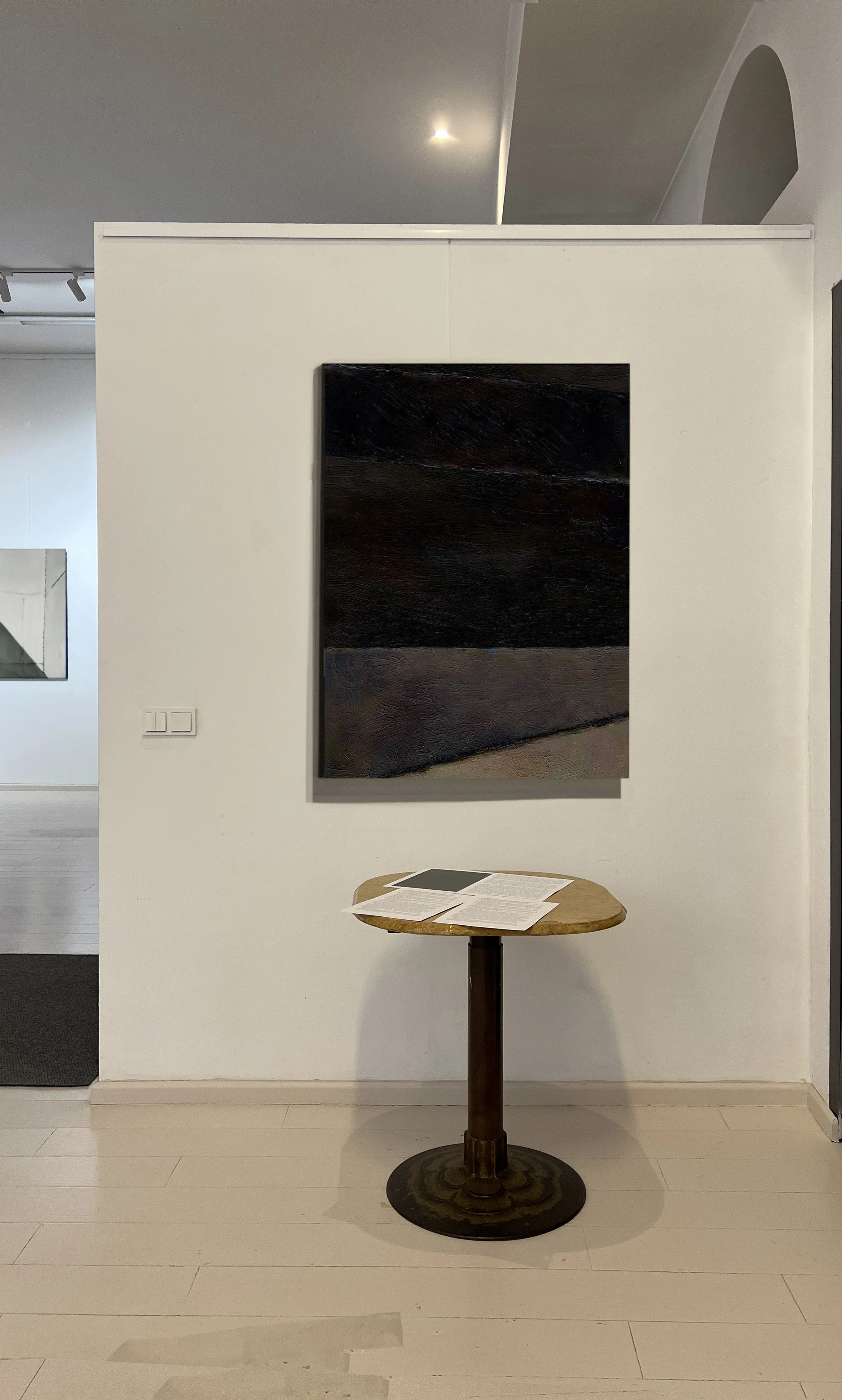 zibeyda seyidova artist