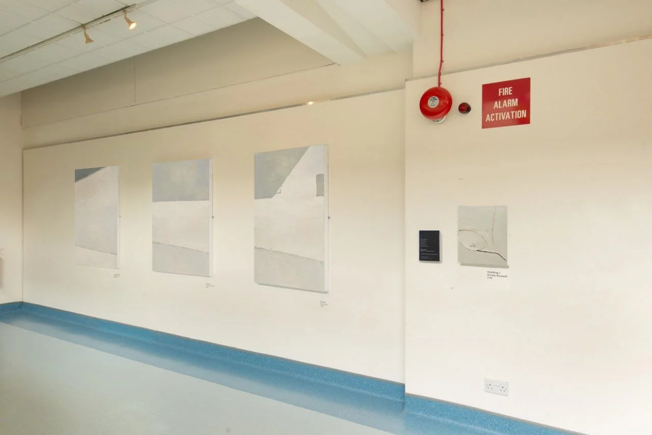 zibeyda seyidova artist