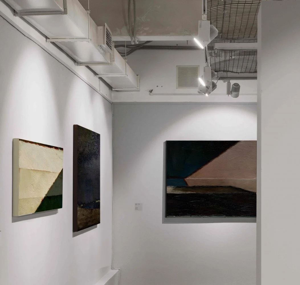 zibeyda seyidova artist