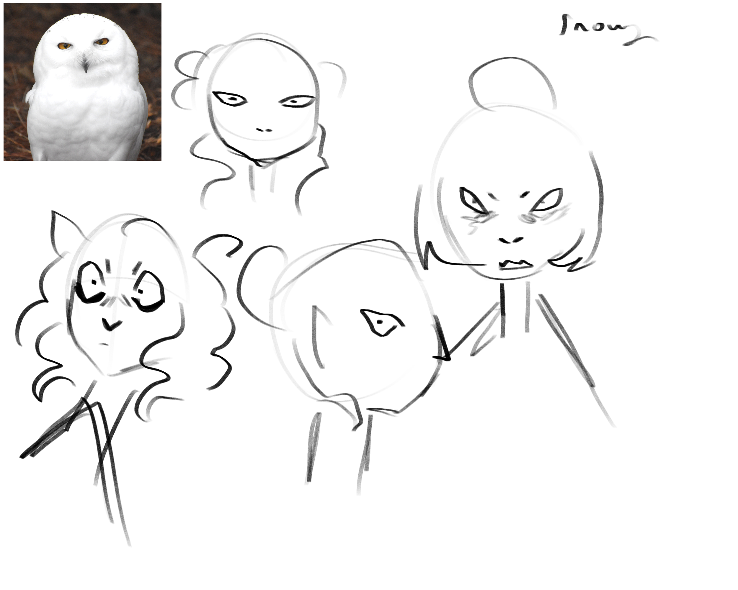 IMG_8978.png