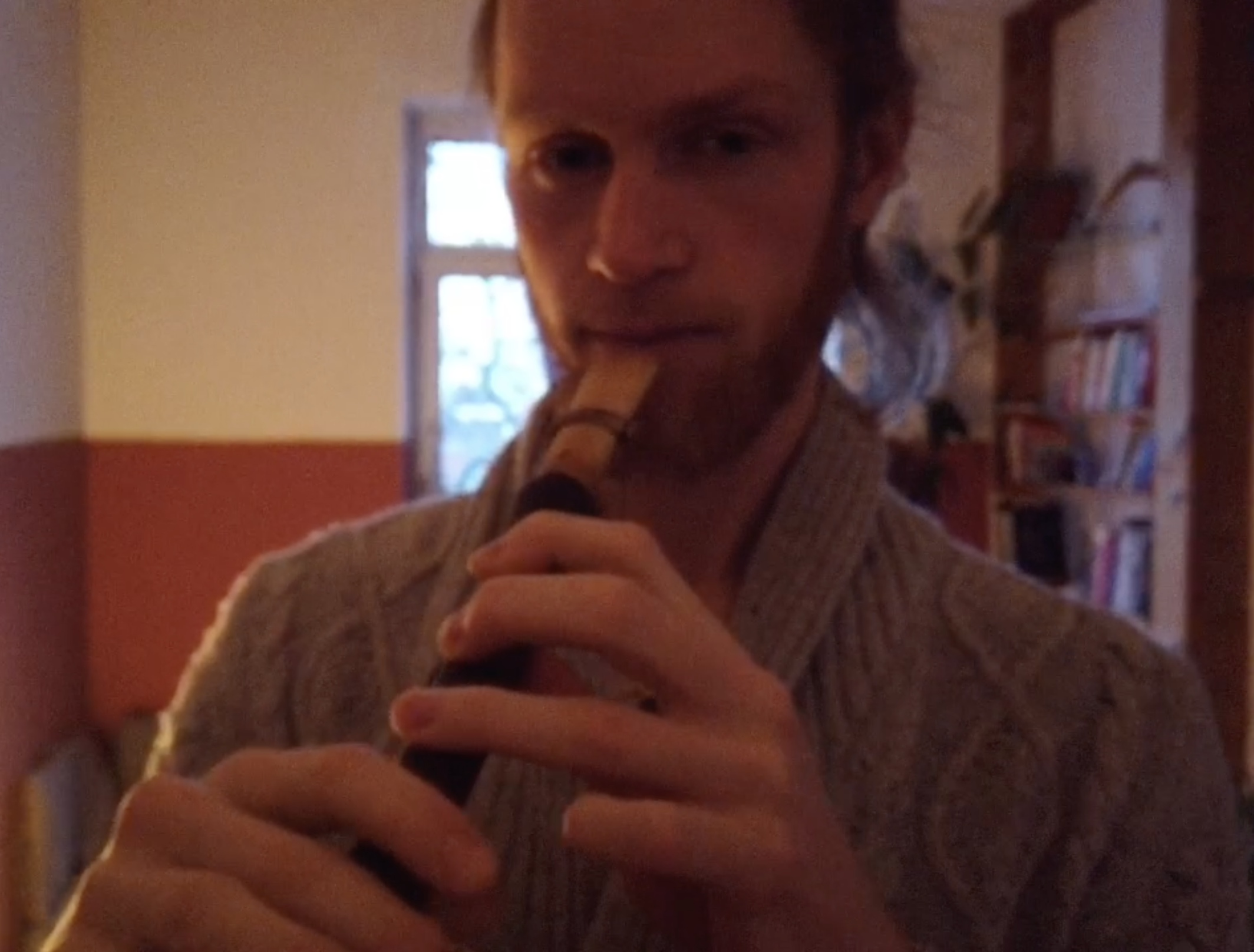 A young man with light skin and light-colored hair, wearing a striped shirt, is playing a recorder in a cozy room with bookshelves and a window in the background.