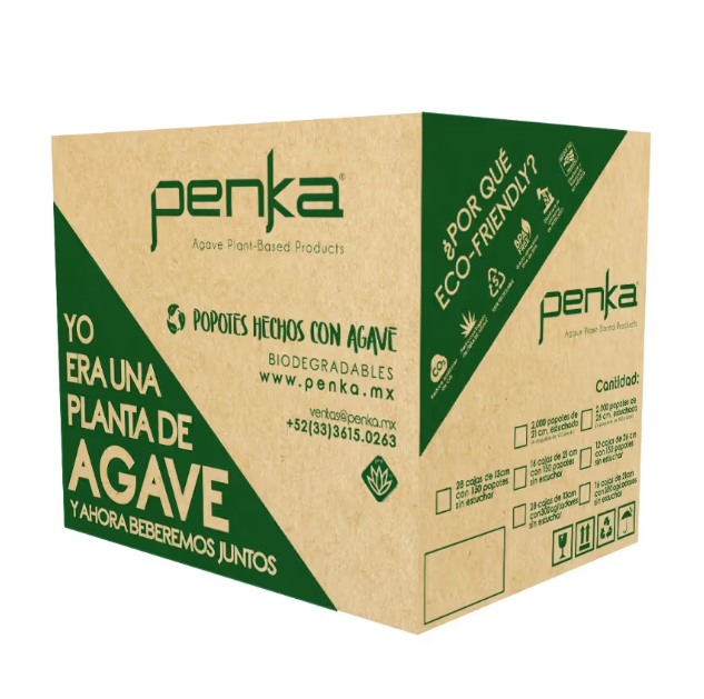 Captura de pantalla 2026-01-20 132936.png