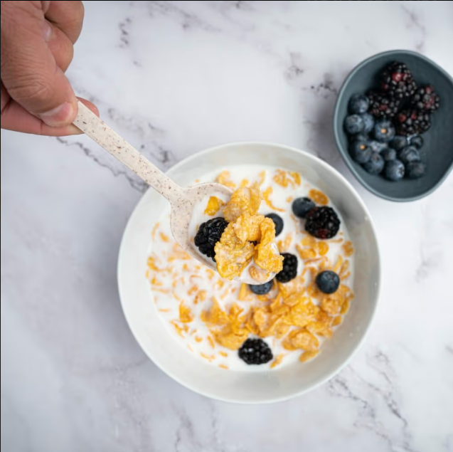 Cuchara biodegradable