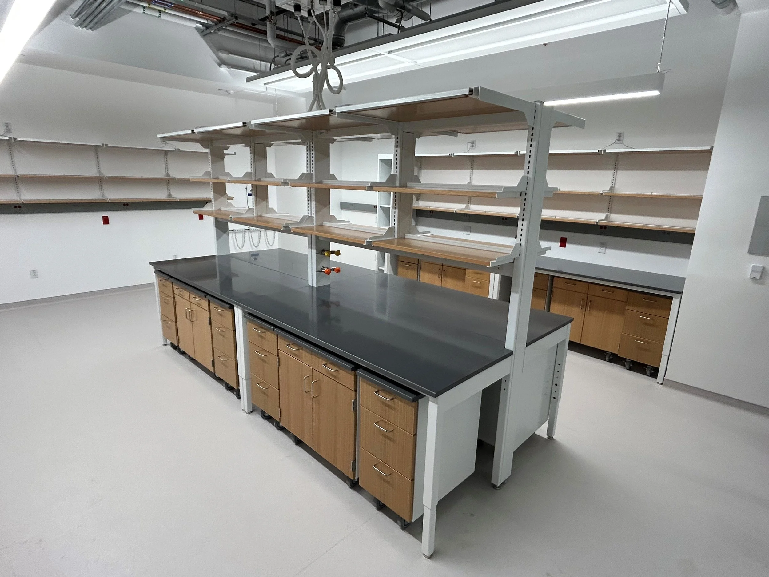 Empty laboratory with wooden cabinets, black countertops, and metal shelving units in a bright room.