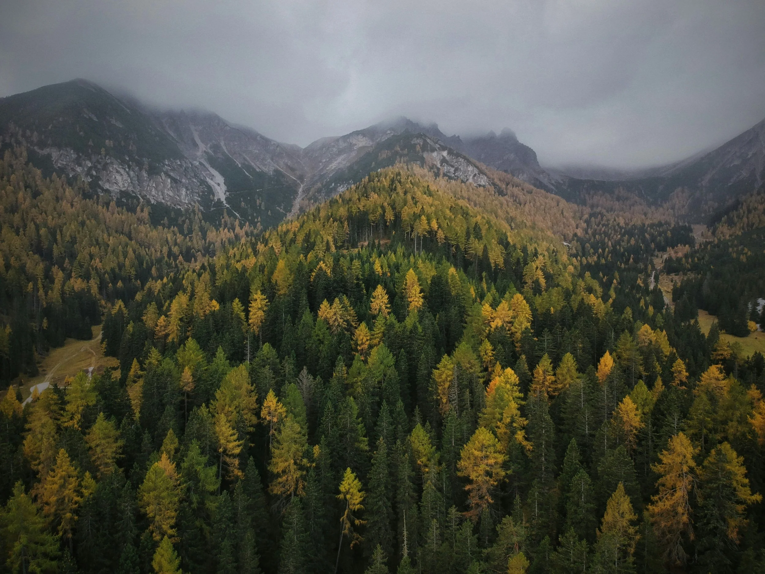 benedikt-blum-yQI4moZ-HOQ-unsplash.jpg