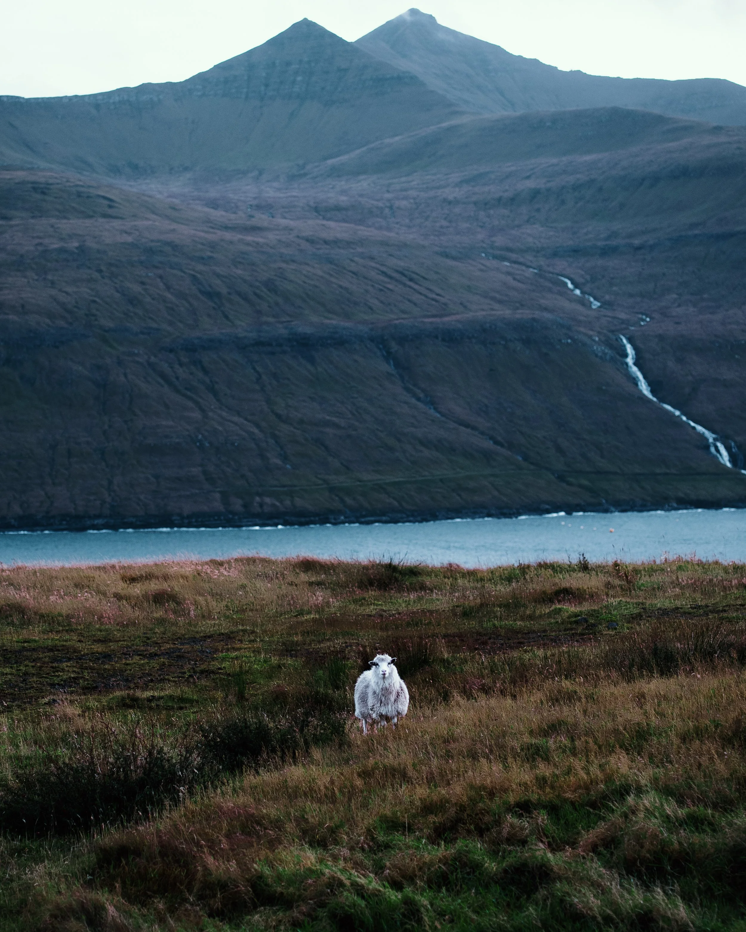 Unearth_Faroe Islands_PHOTO-46.jpg