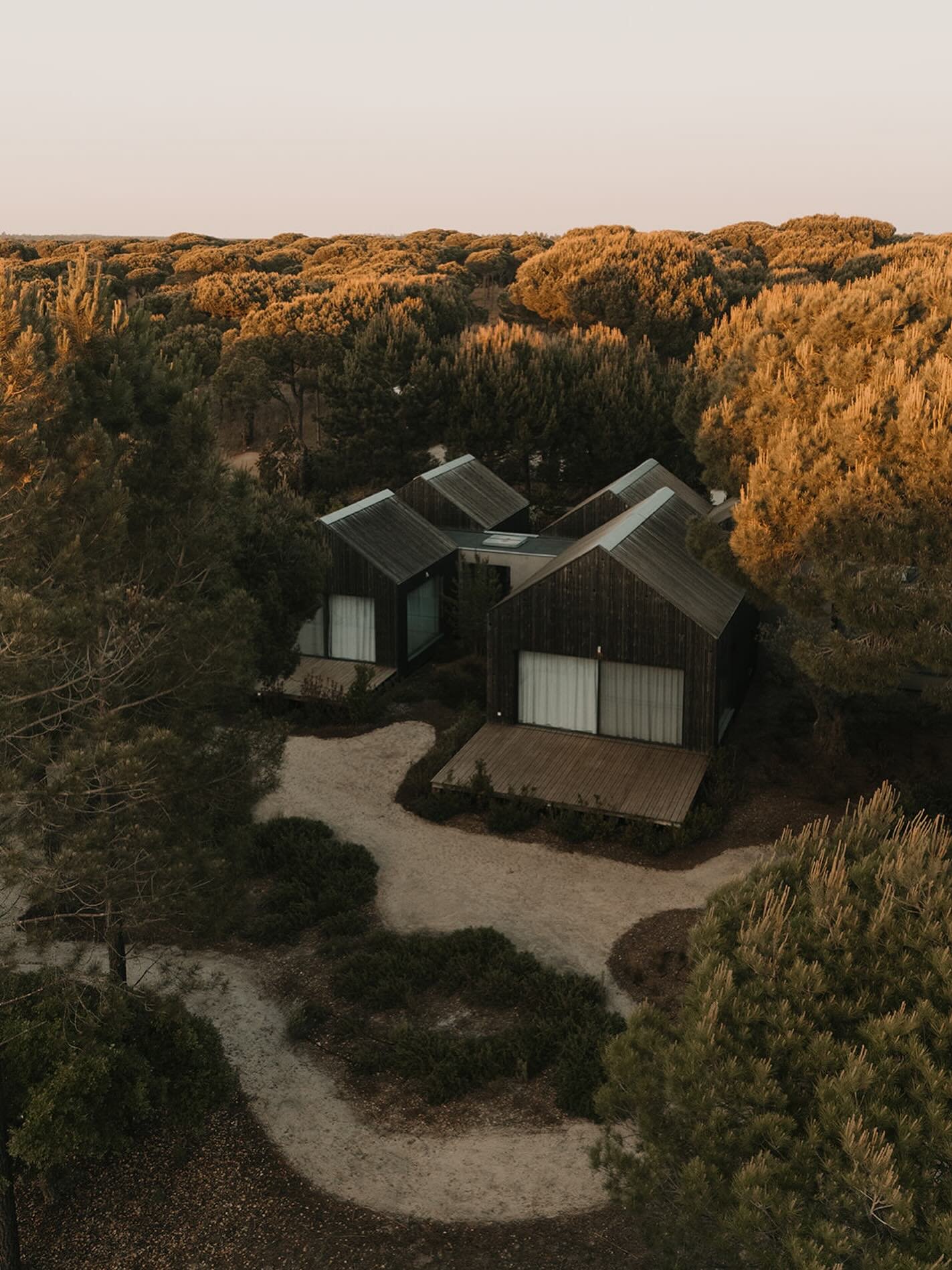 Sublie Comporat 7.jpg