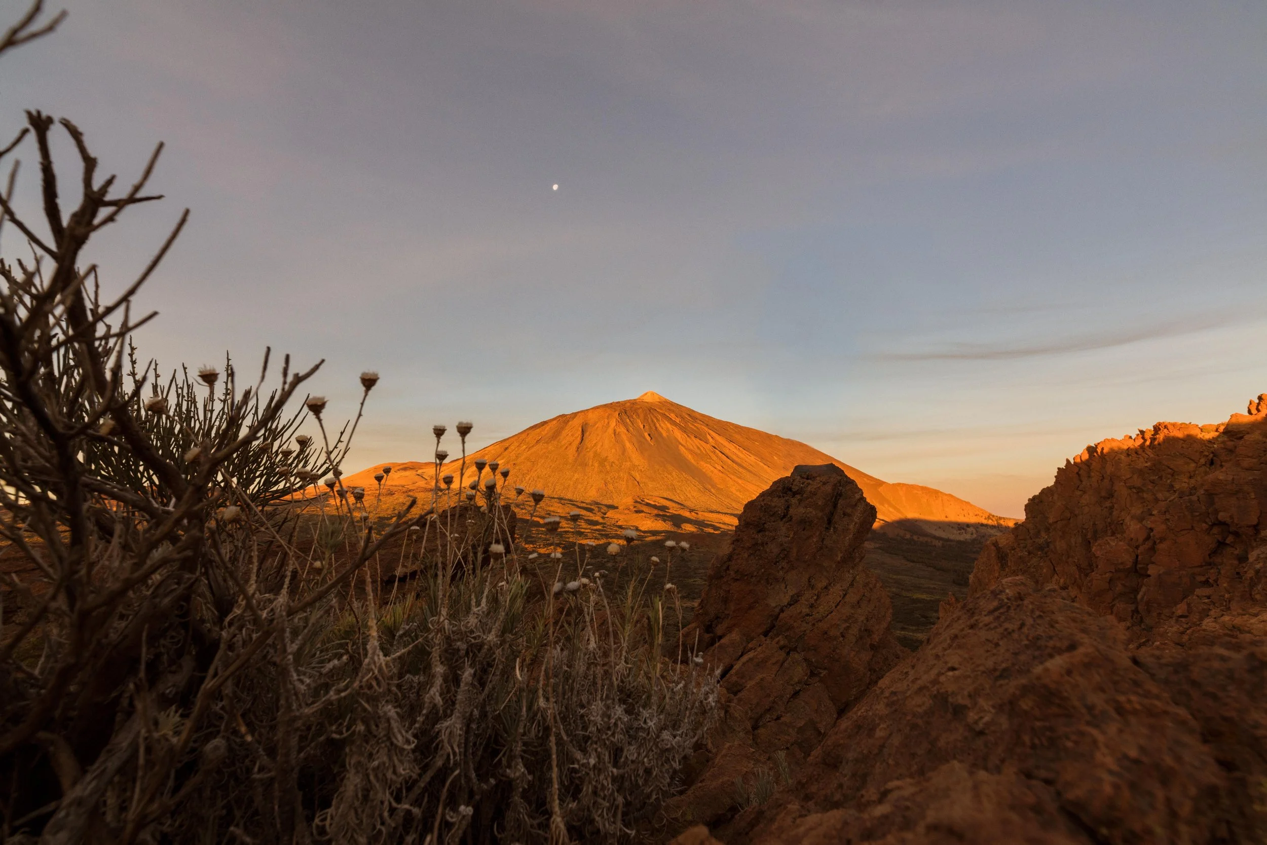tenerife convention bureau
