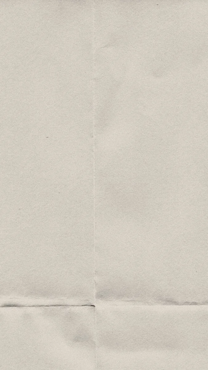 Close-up of a textured, light-colored paper surface with visible creases and folds.