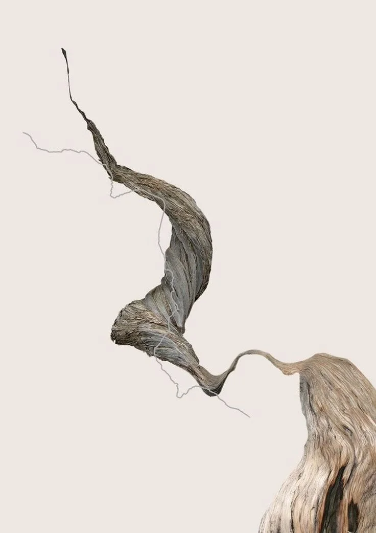 Close-up of a twisted, weathered piece of driftwood or tree root with a light, neutral background.