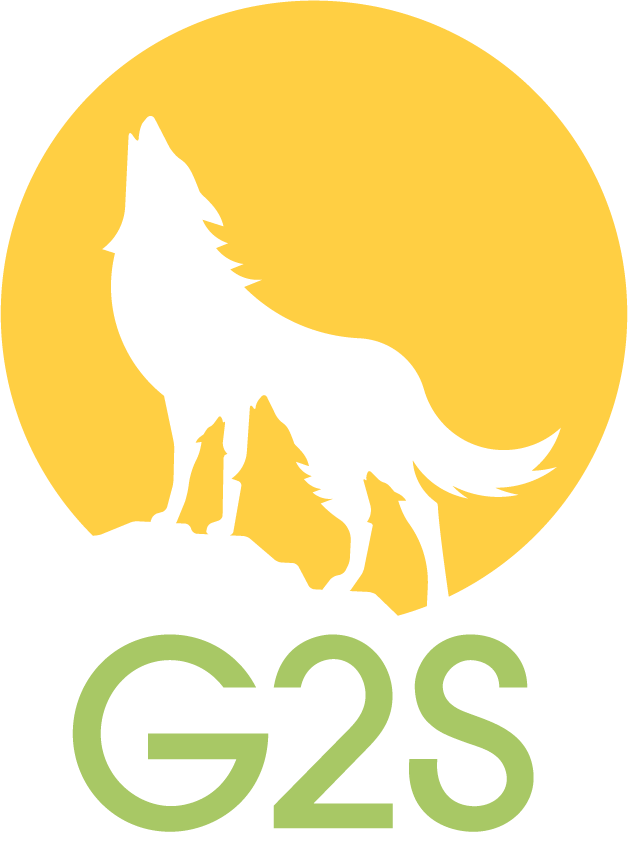 G2S schools logo