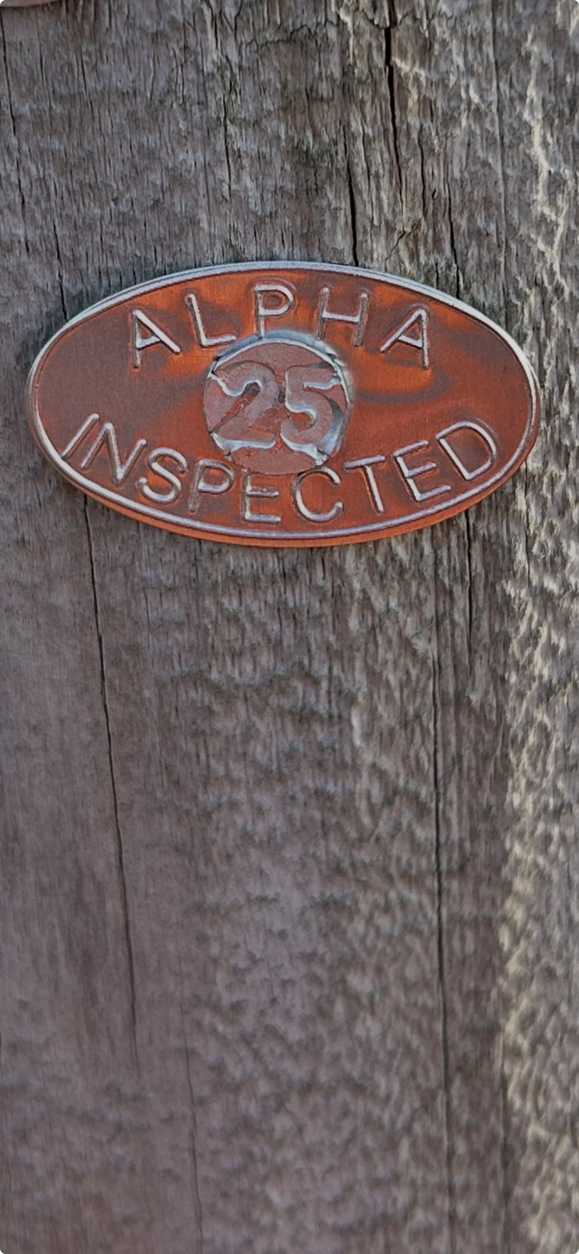 A metal badge attached to a weathered wooden surface, reading 'ALPHA 25 INSPECTED'.