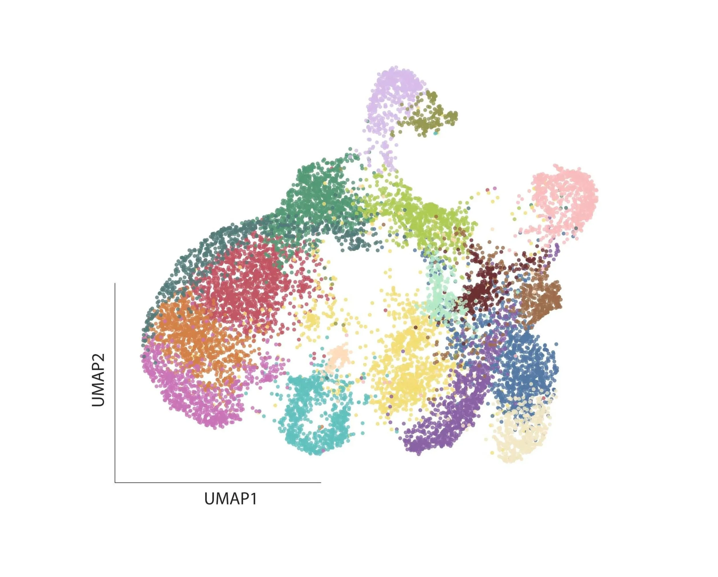 A colorful scatter plot with data points grouped into clusters, labeled UMAP1 and UMAP2 axes, representing a dimensionality reduction visualization.